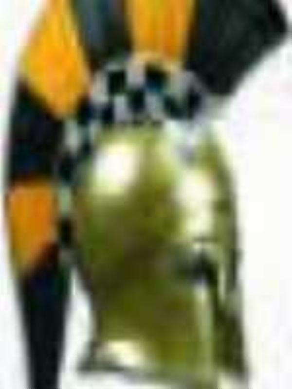 patrokl
