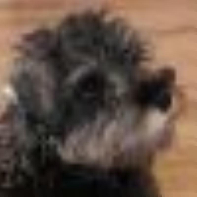 Gro