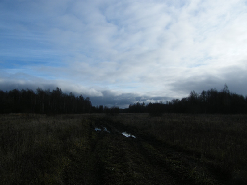 2011-11-12_1.jpg