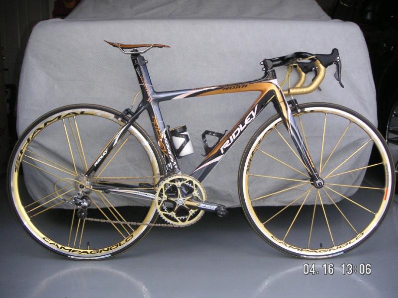 Noah_Shamal_Gold_02_Medium.jpg