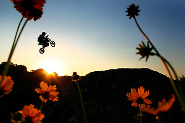 Flower__Power_by_steen.jpg
