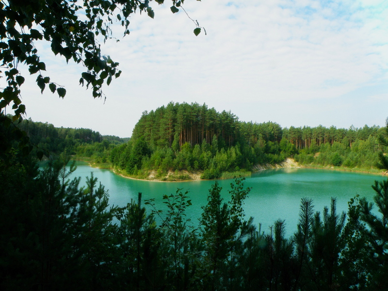 P8074161.jpg