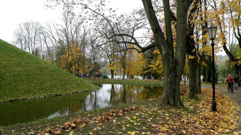 PA200916.jpg