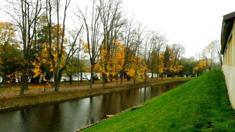 PA200919.jpg