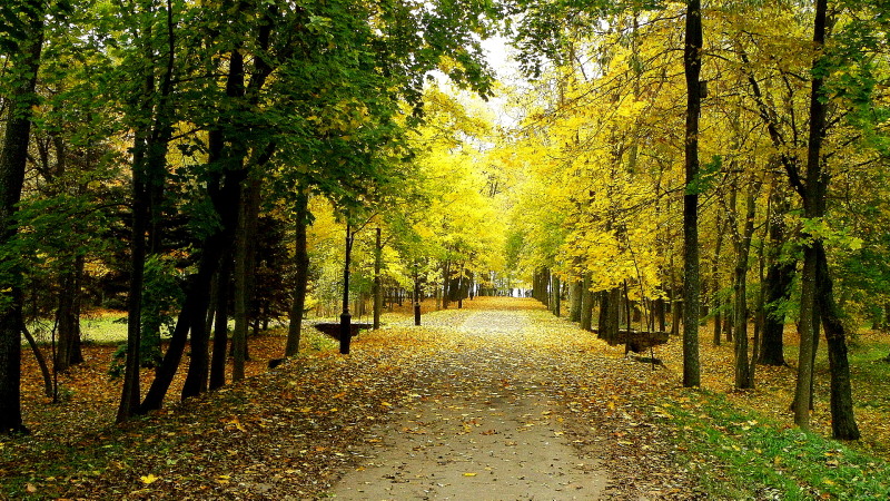 PA200927.jpg