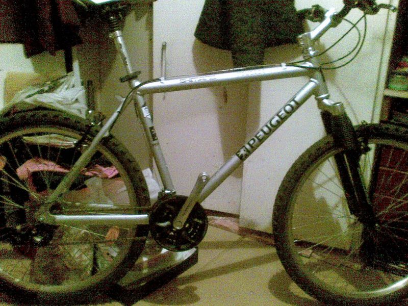 600.jpg