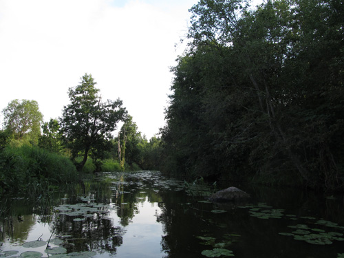 IMG_1624.JPG