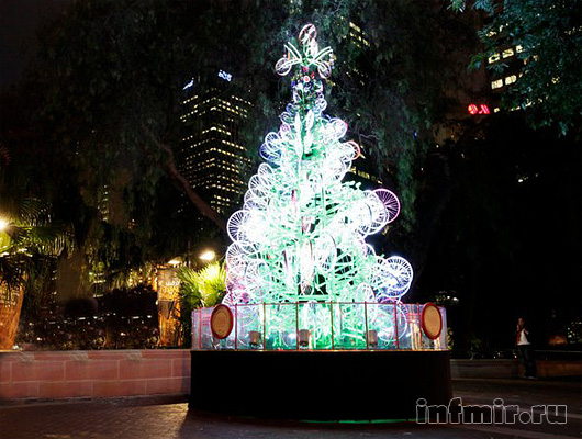 australia_sydney_tree1.jpg