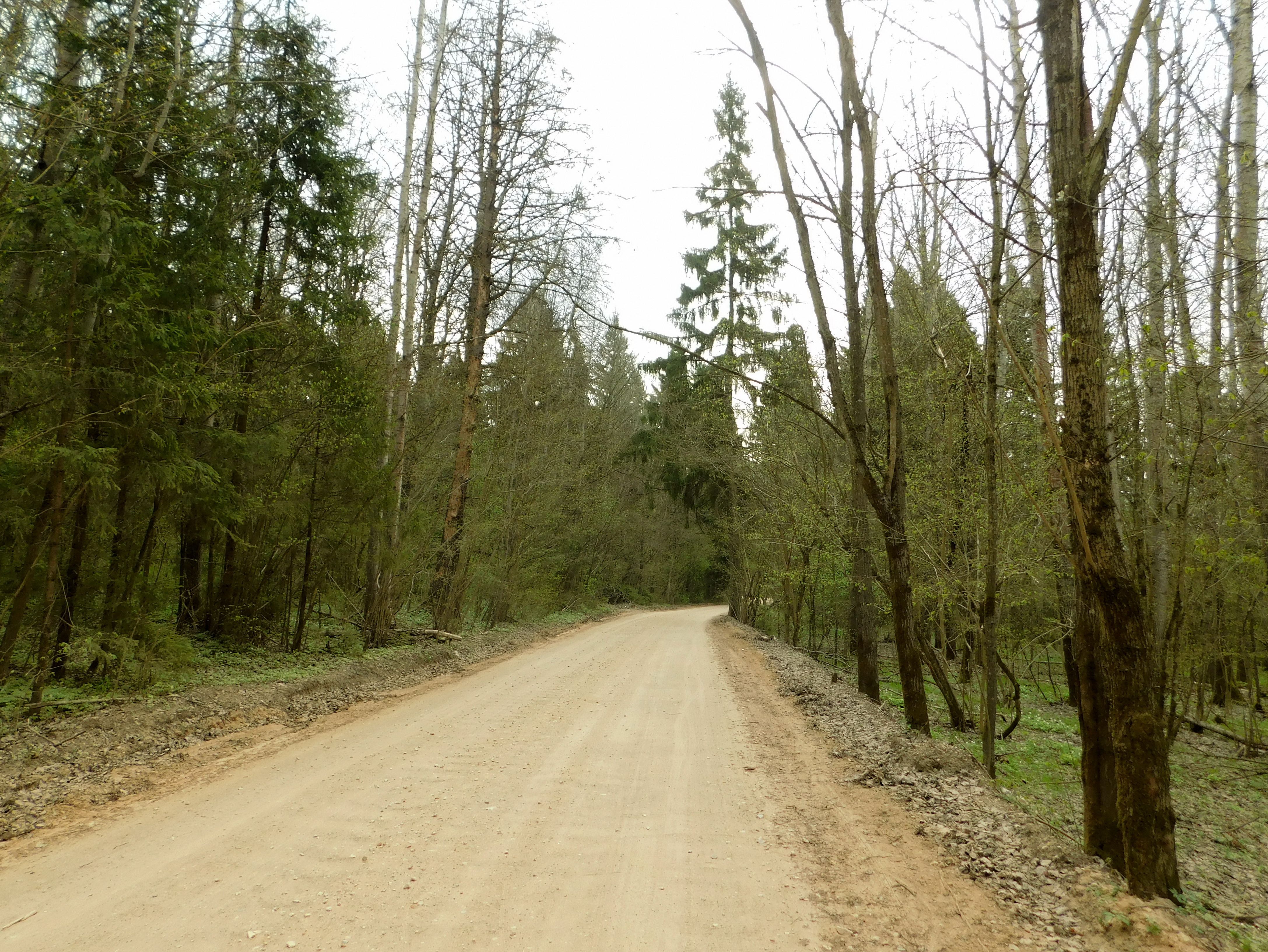DSCN0466.jpg