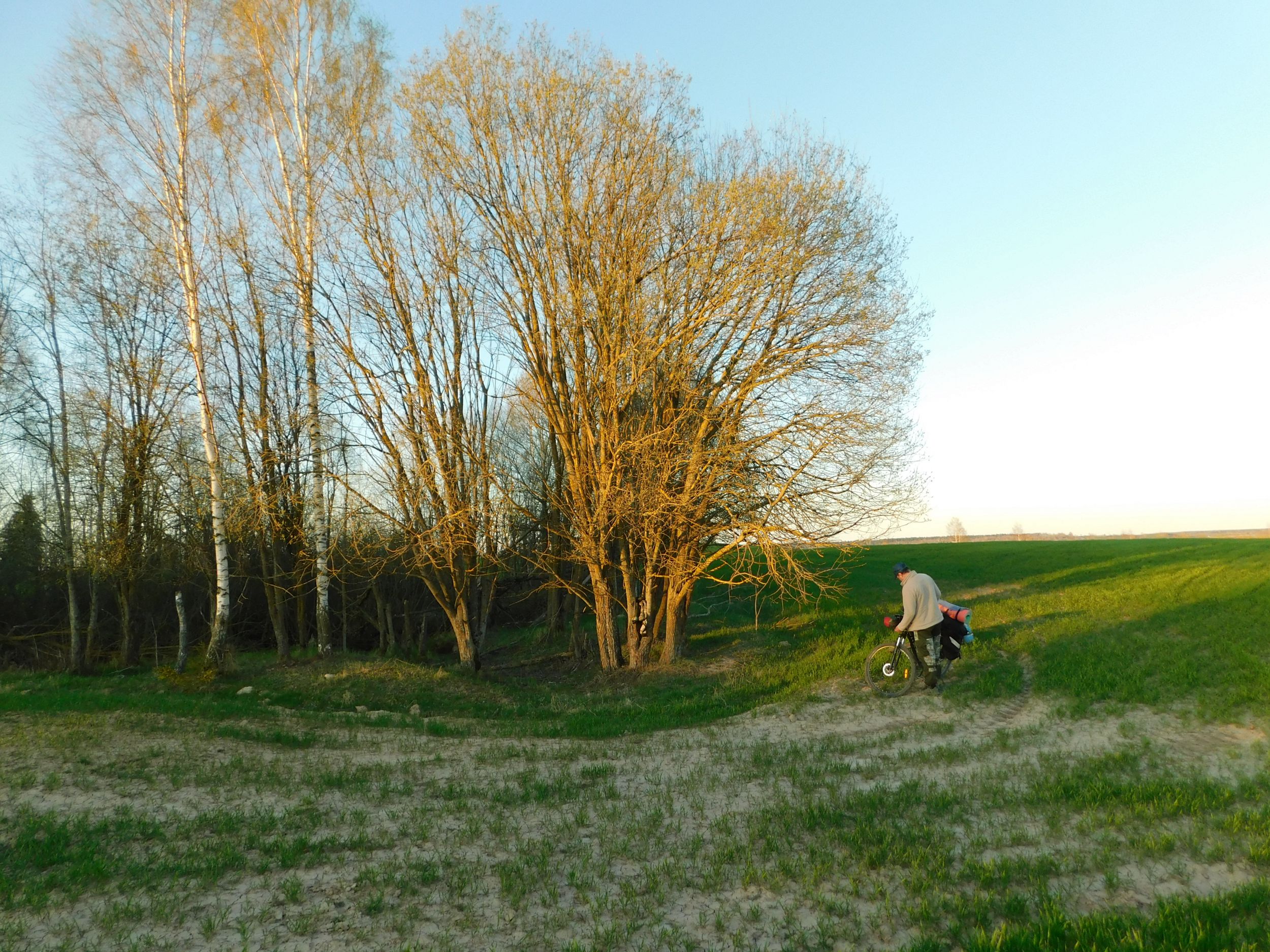 DSCN0784.JPG