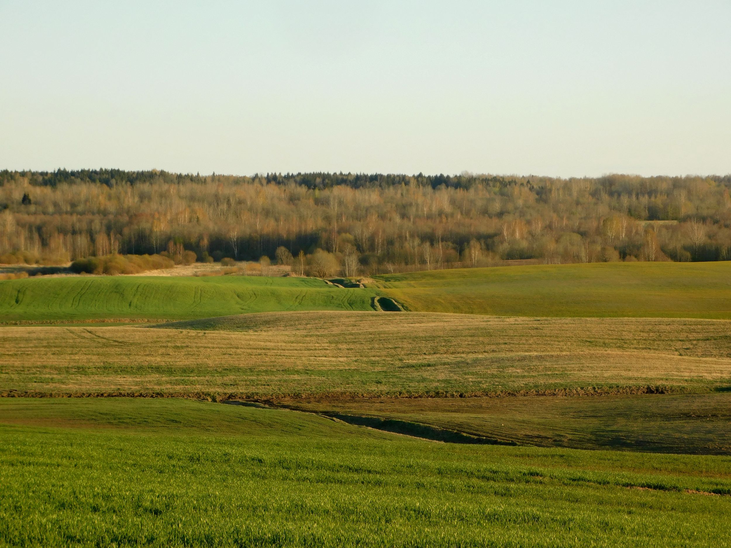 DSCN0779.jpg