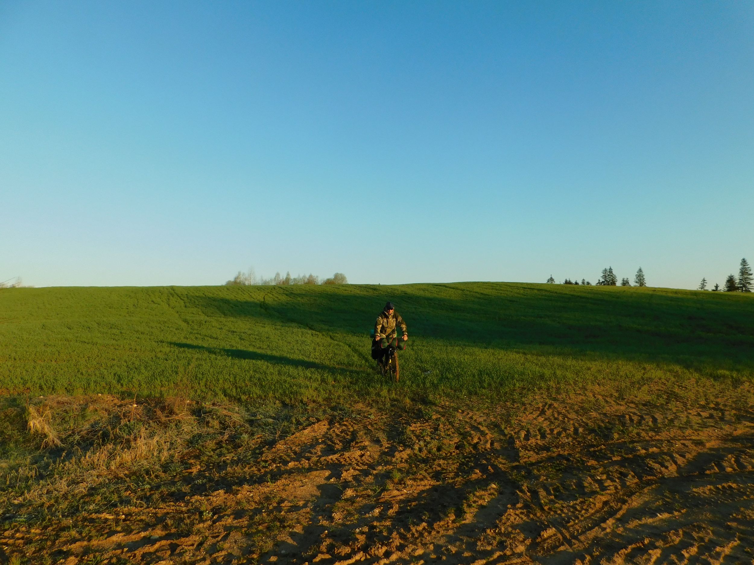 DSCN0796.JPG