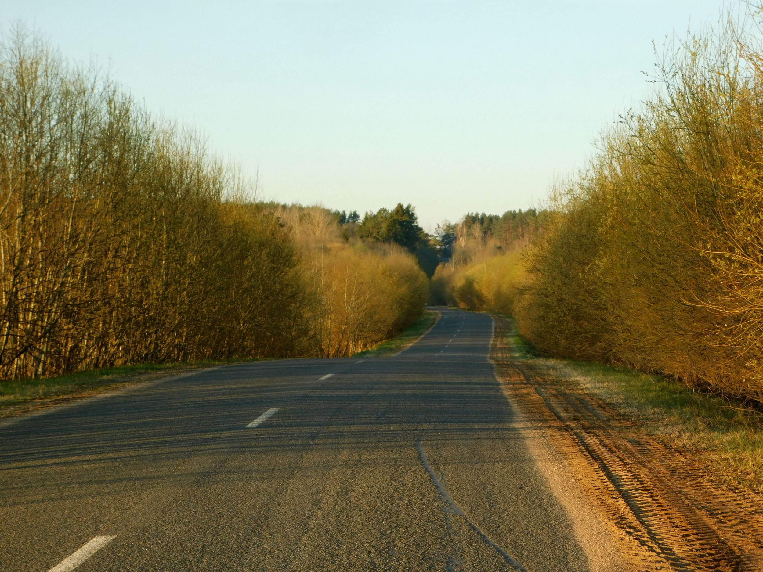 DSCN0797.jpg
