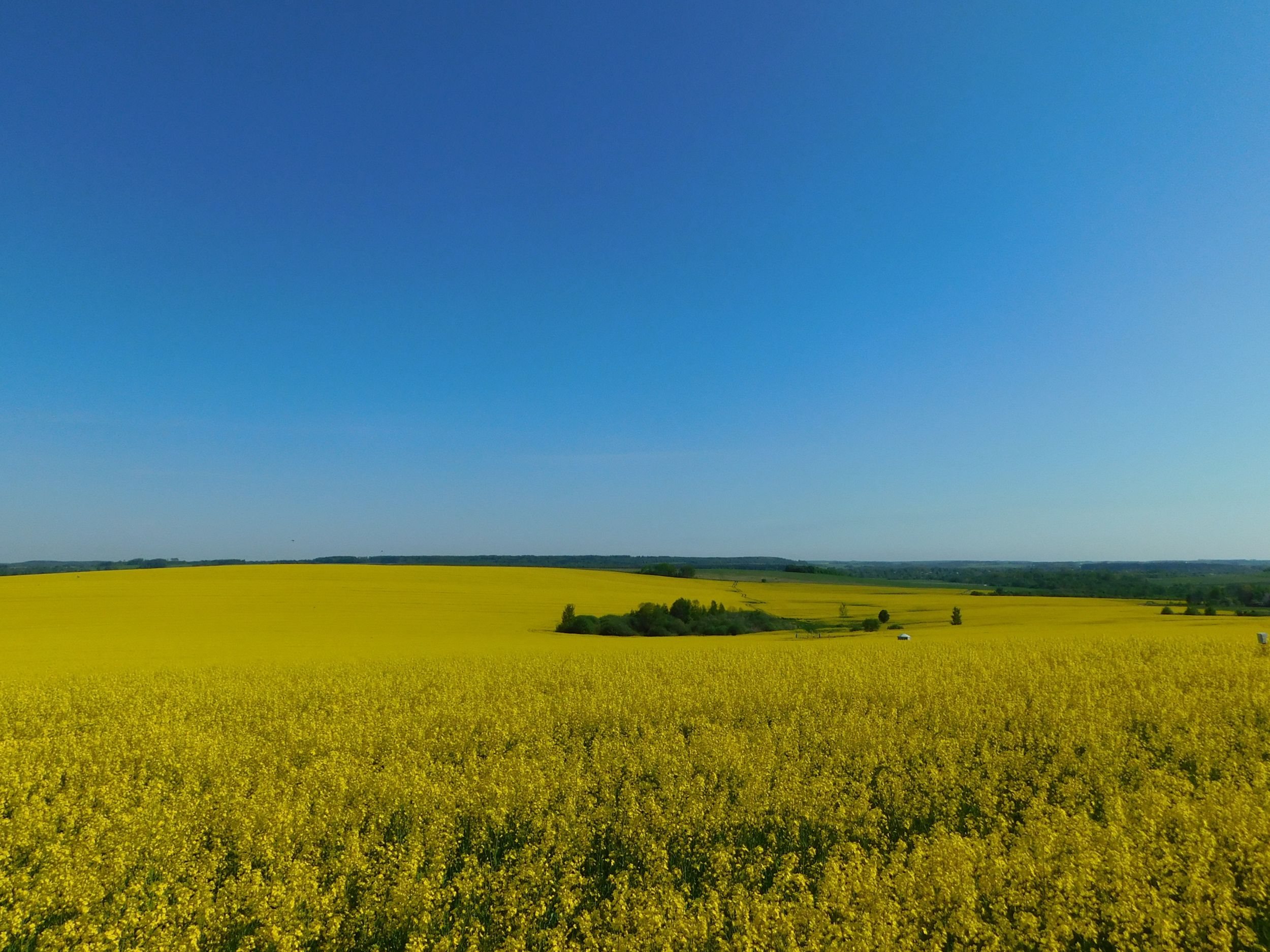 DSCN0959.jpg