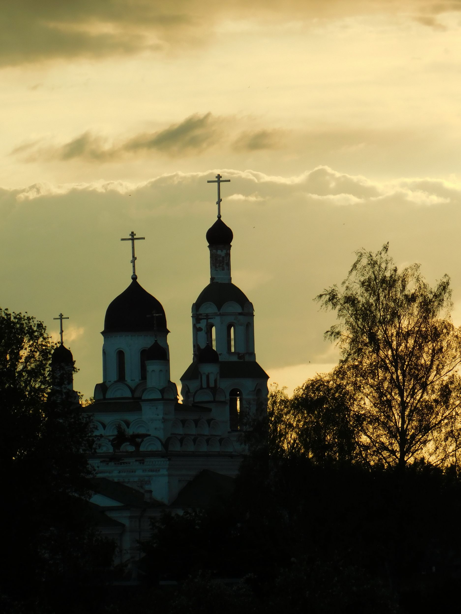 DSCN1078.jpg