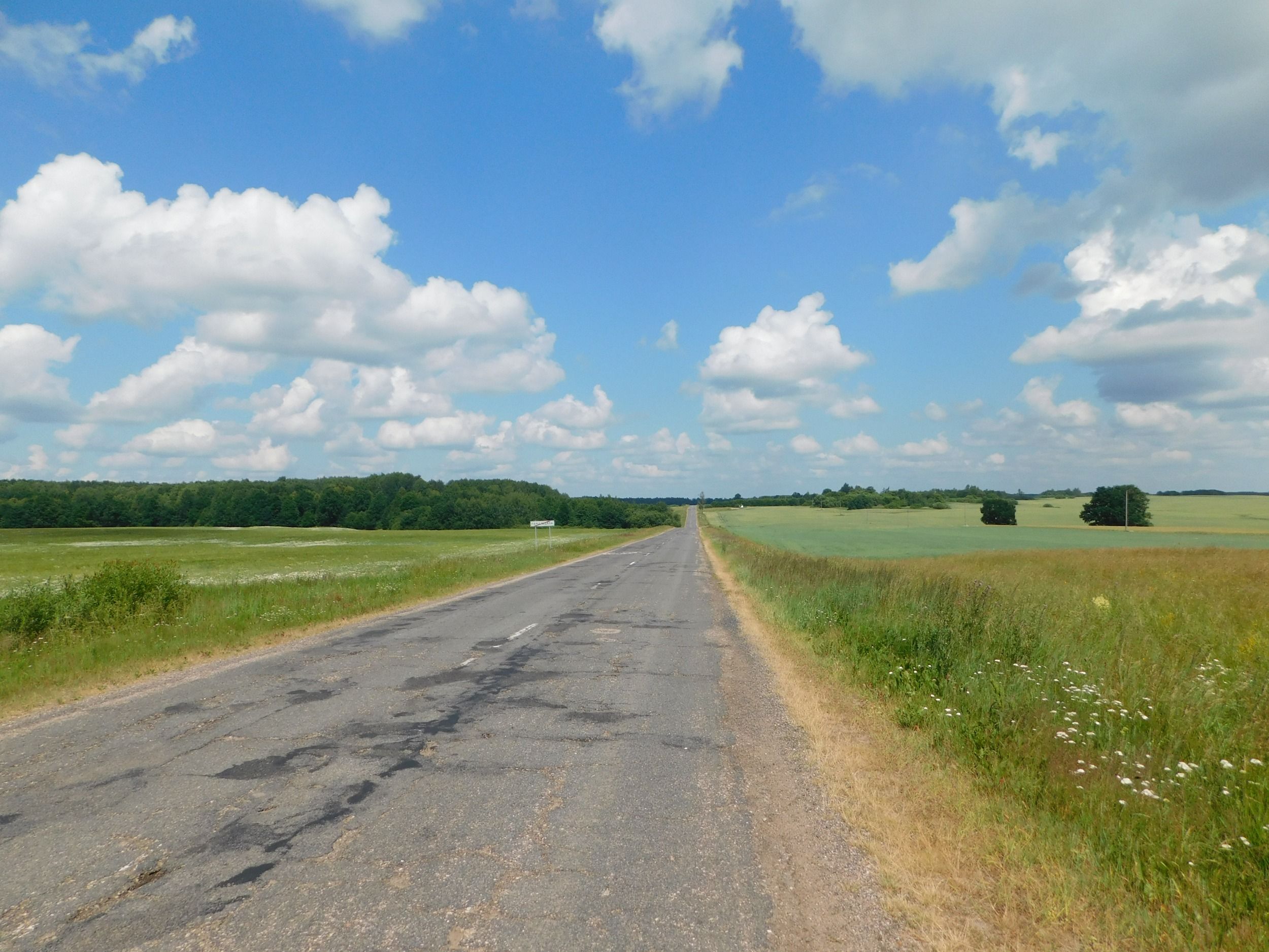 DSCN4904.JPG