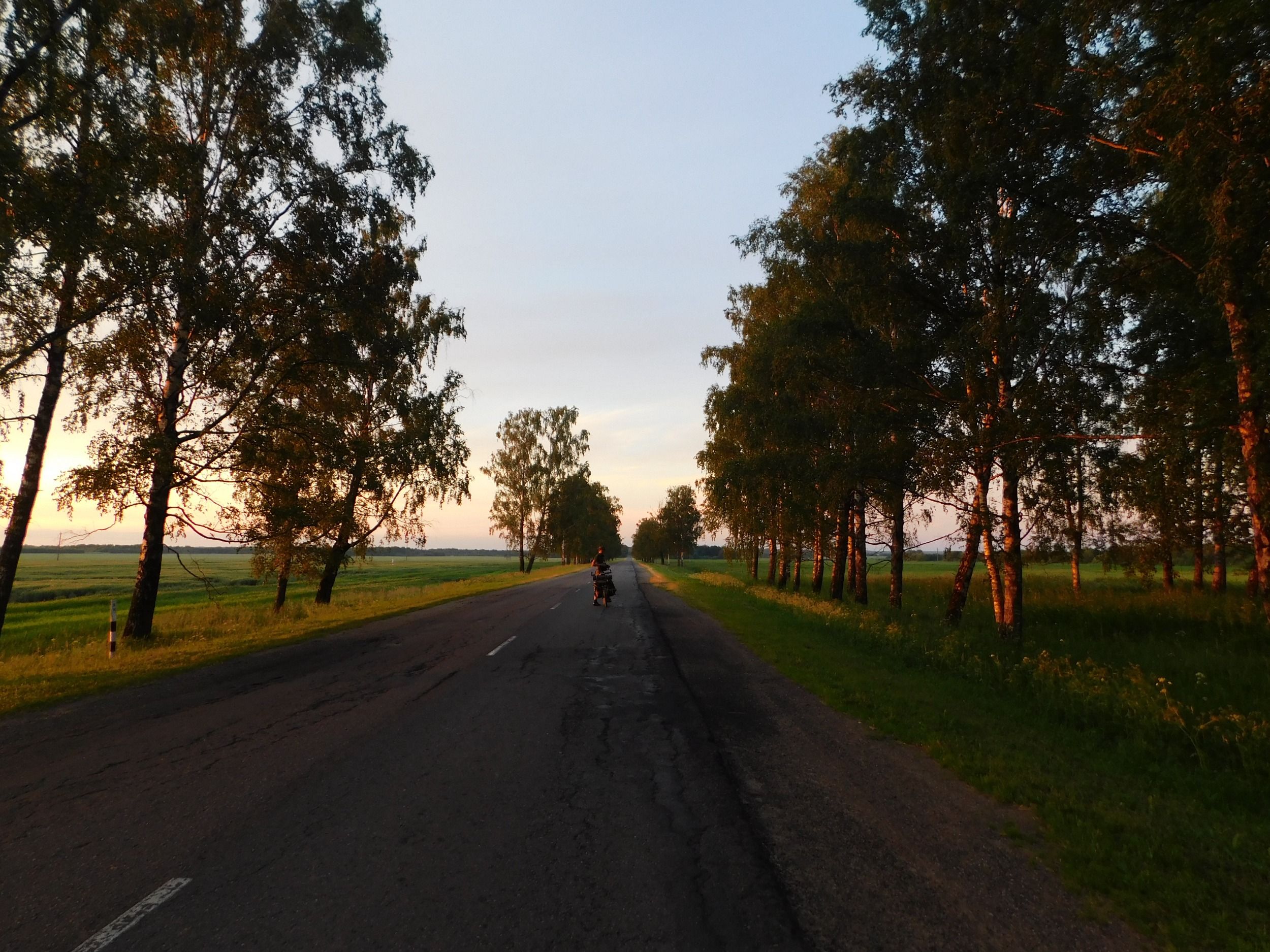 DSCN4917.JPG