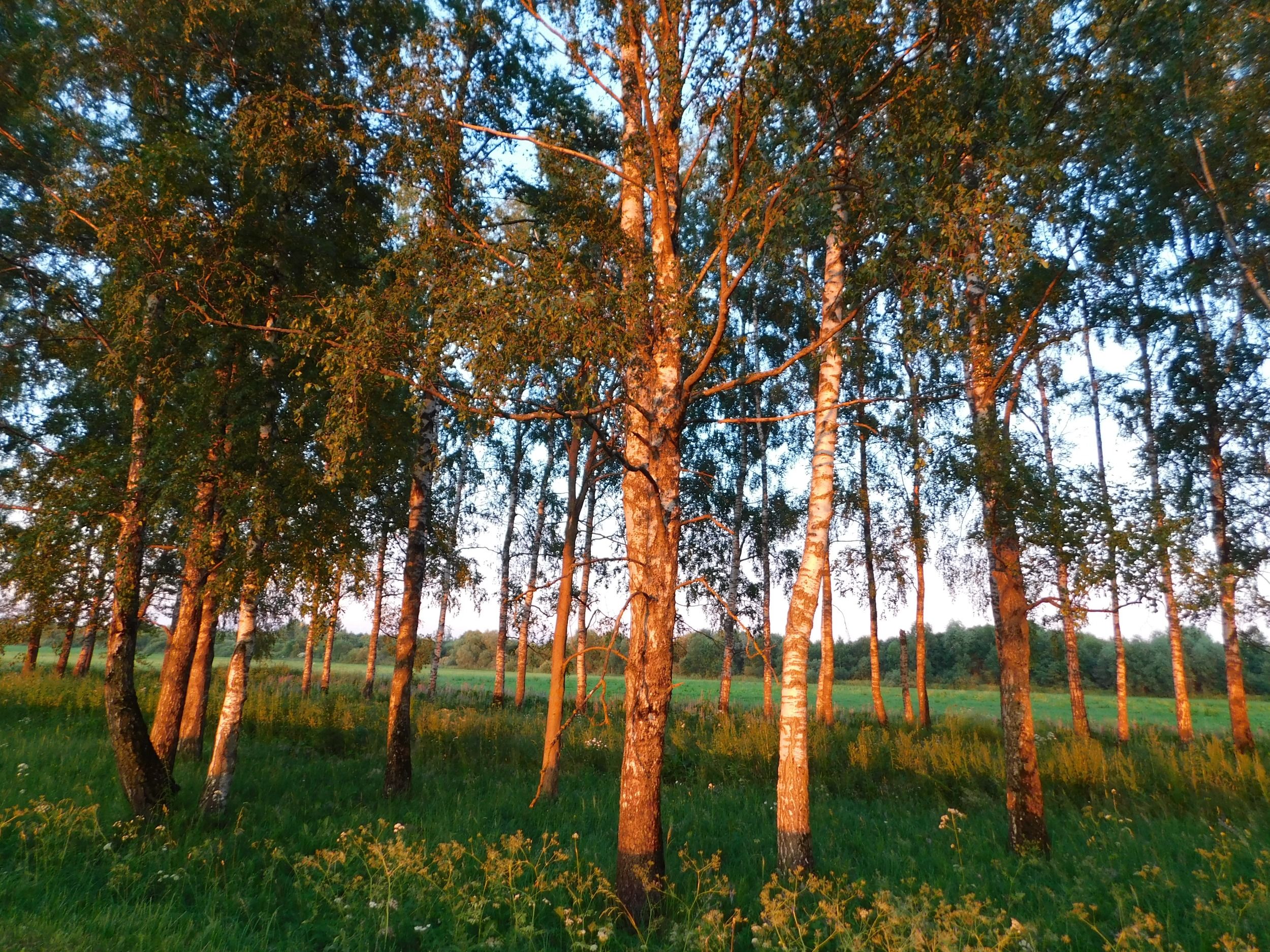 DSCN4919.JPG