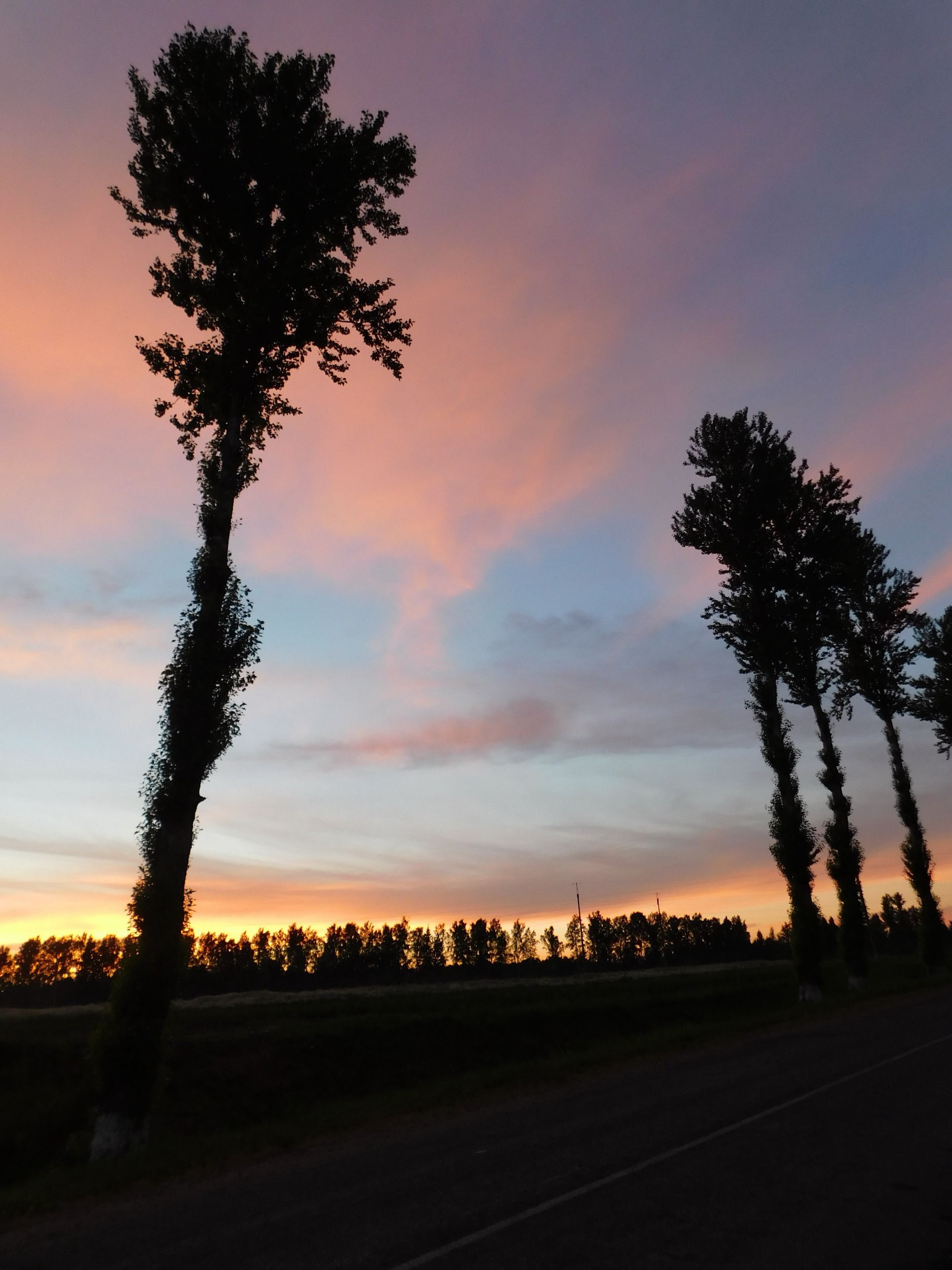DSCN4922.jpg