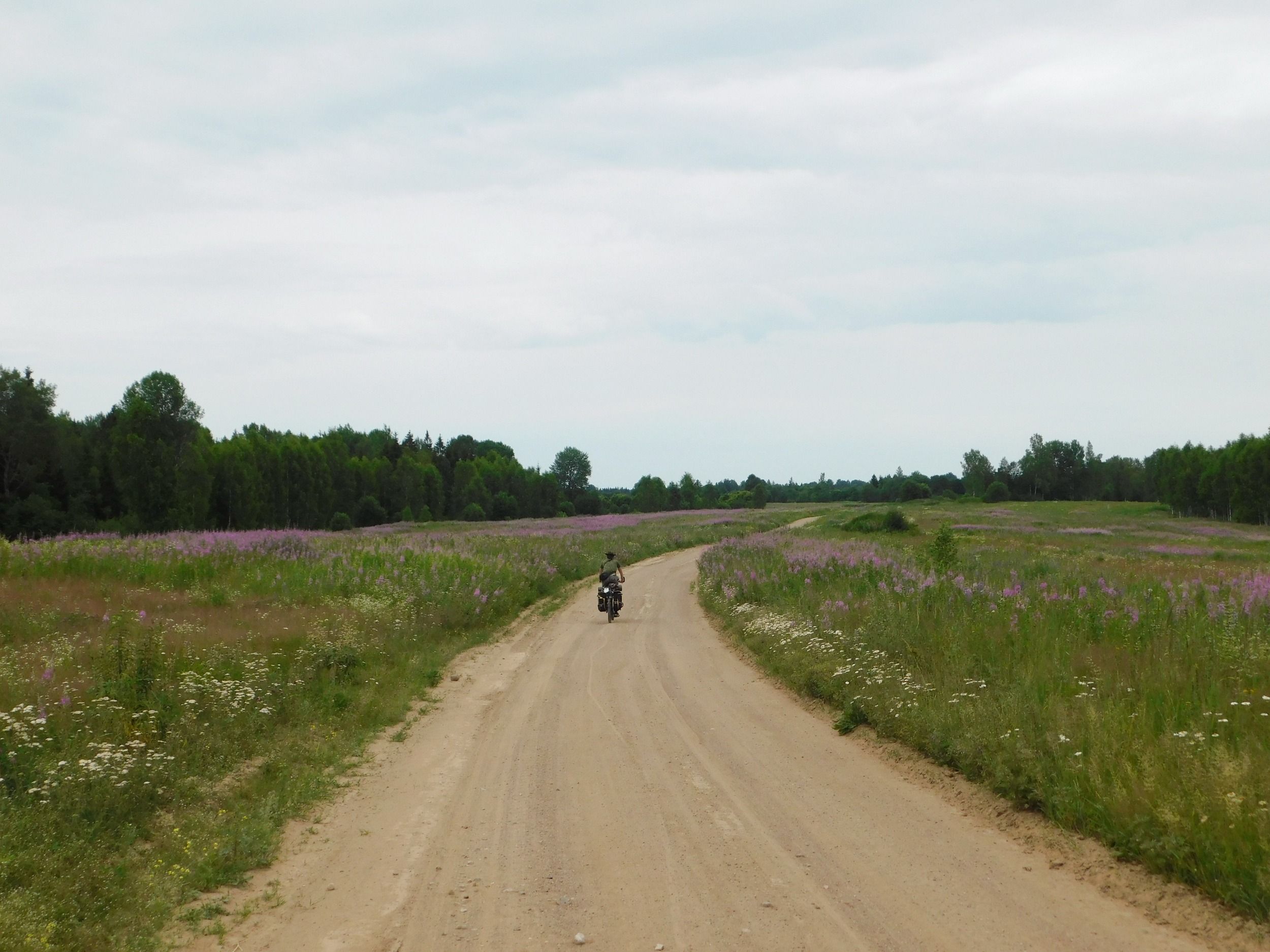 DSCN4946.jpg