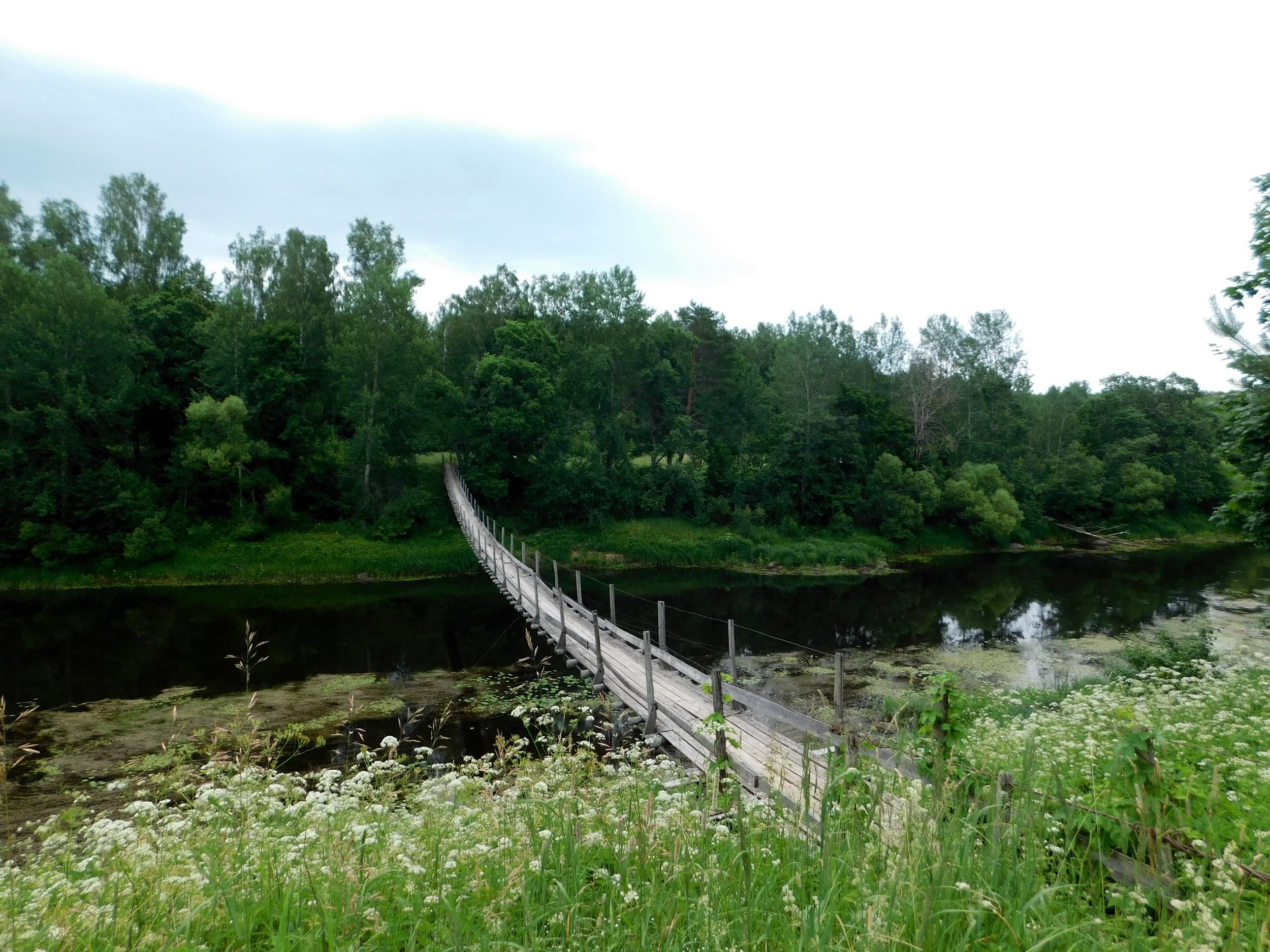 DSCN4953.jpg