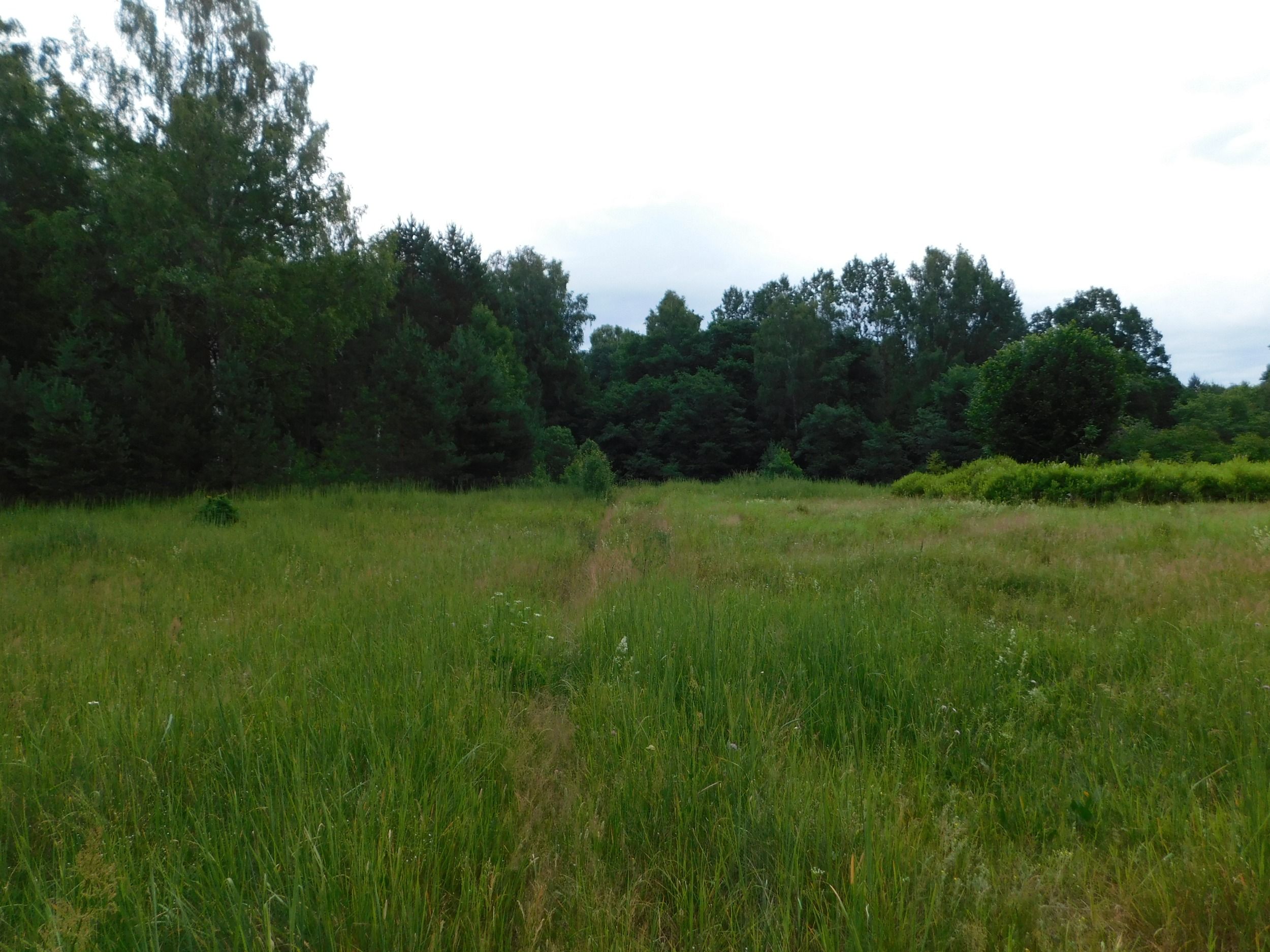 DSCN4976.JPG