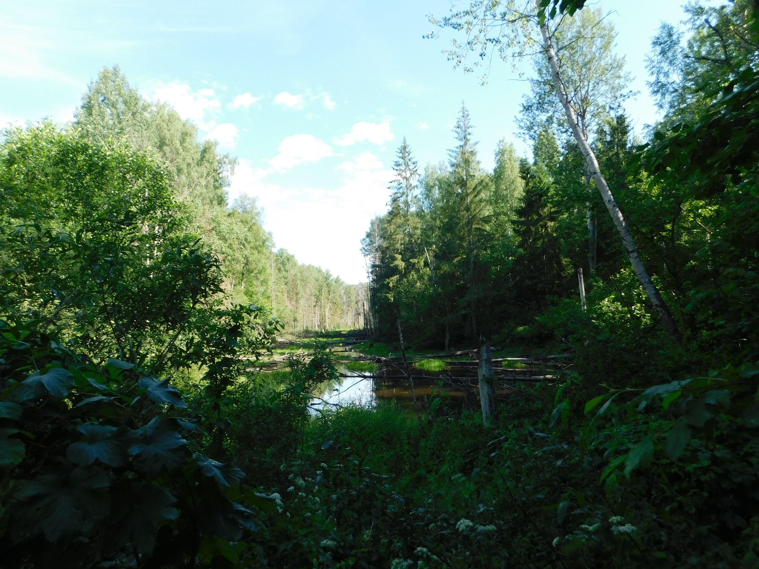 DSCN5063.JPG