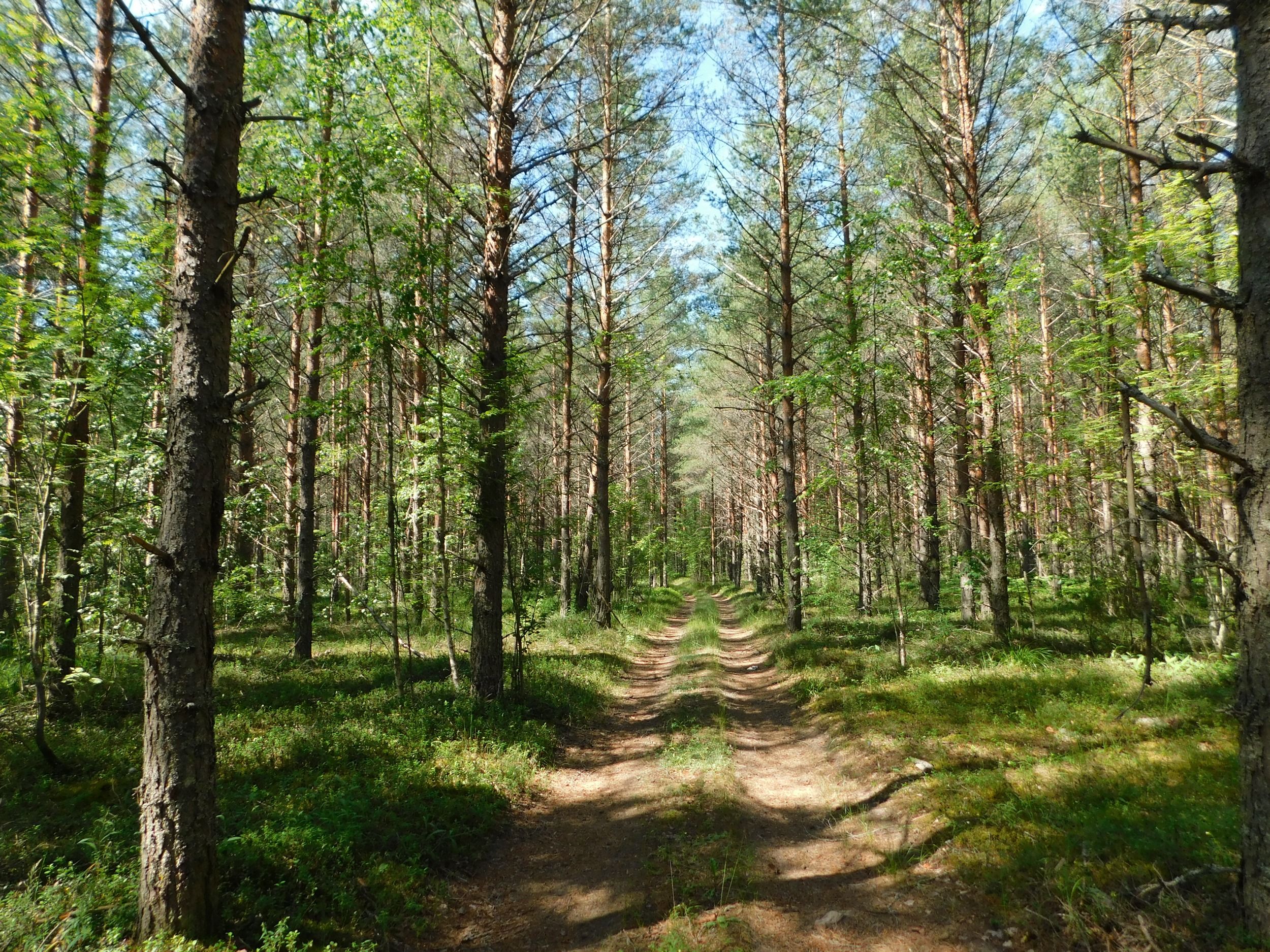 DSCN5301.JPG