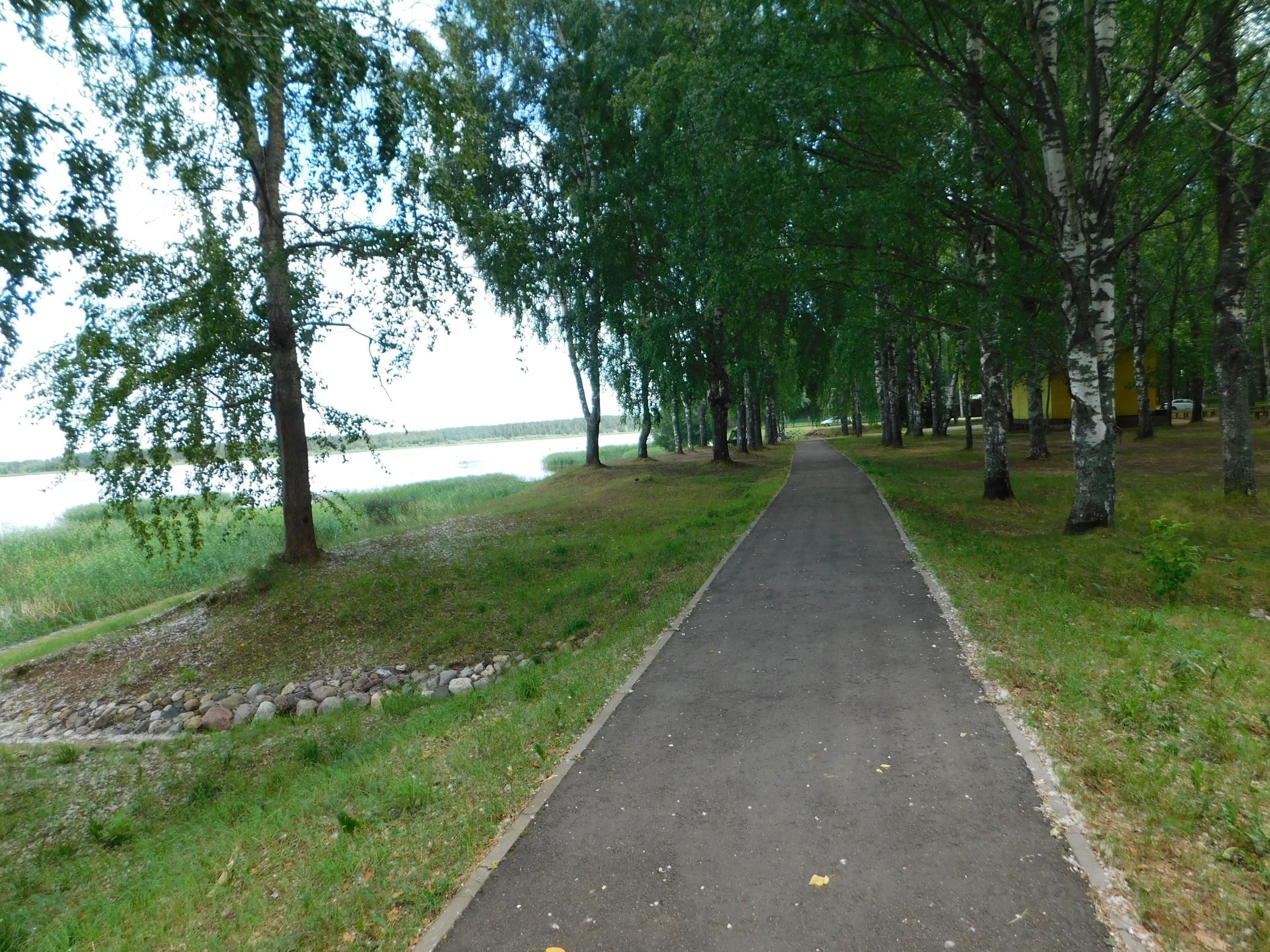 DSCN5316.JPG