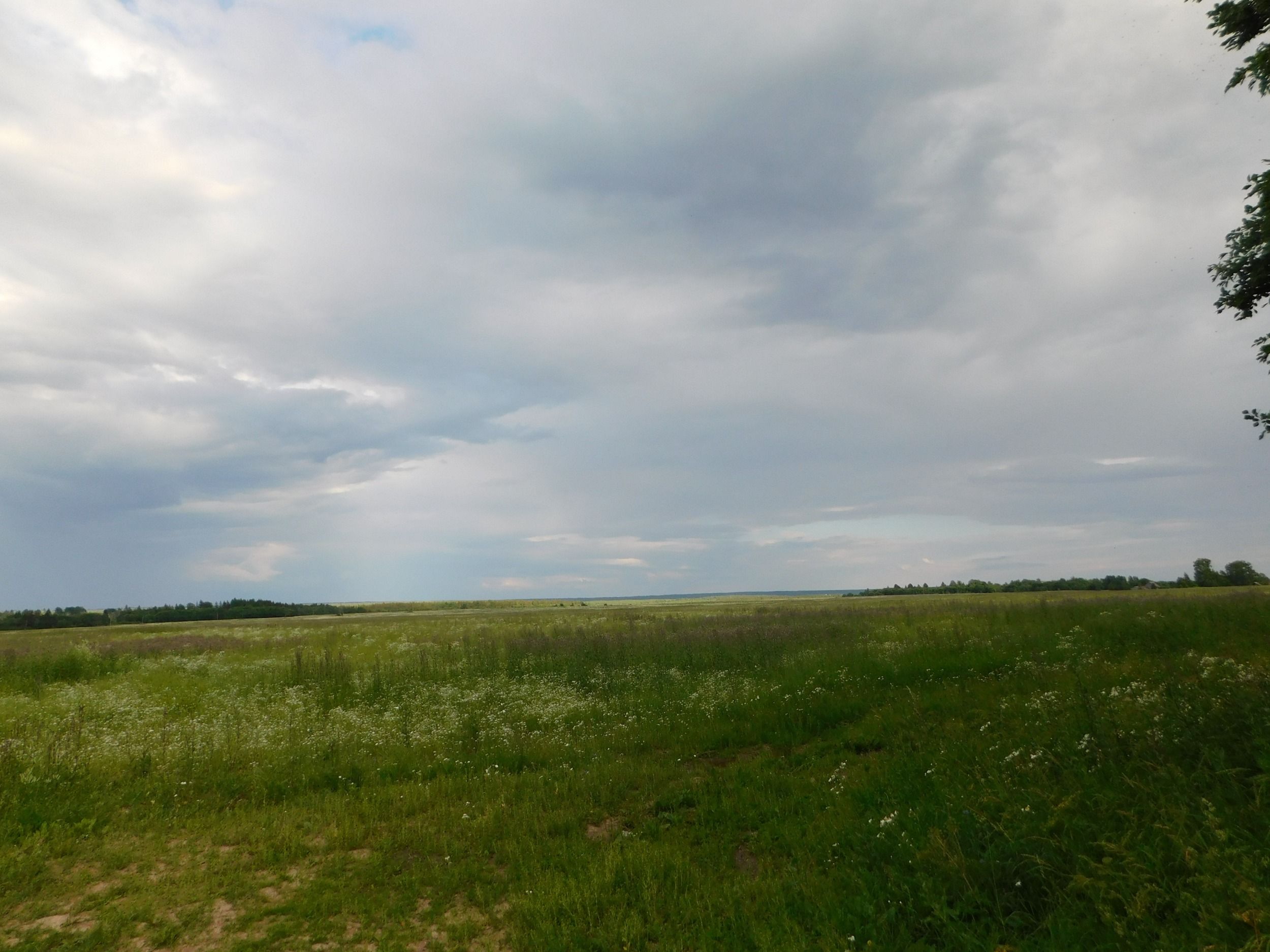 DSCN5337.JPG