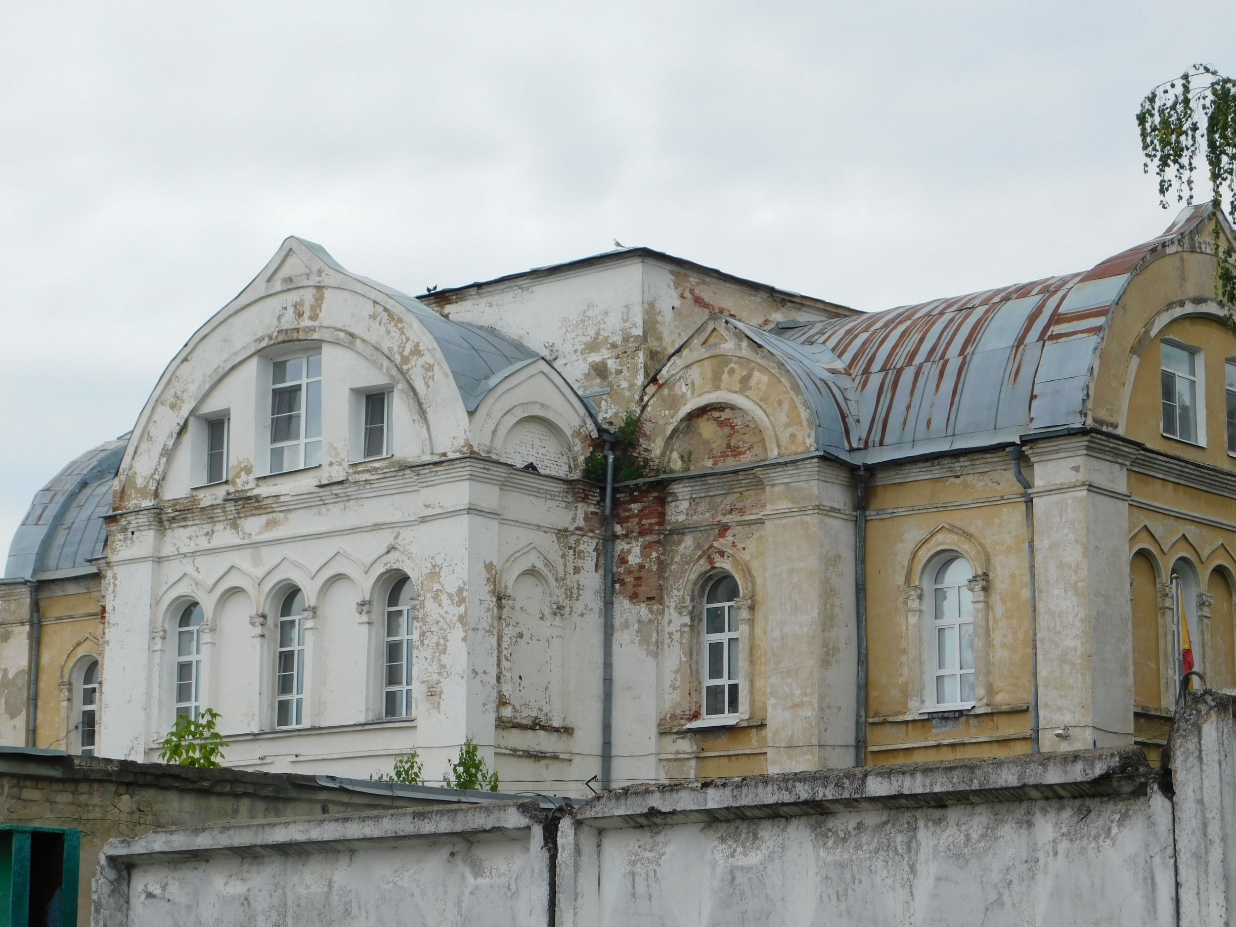 DSCN5405.JPG