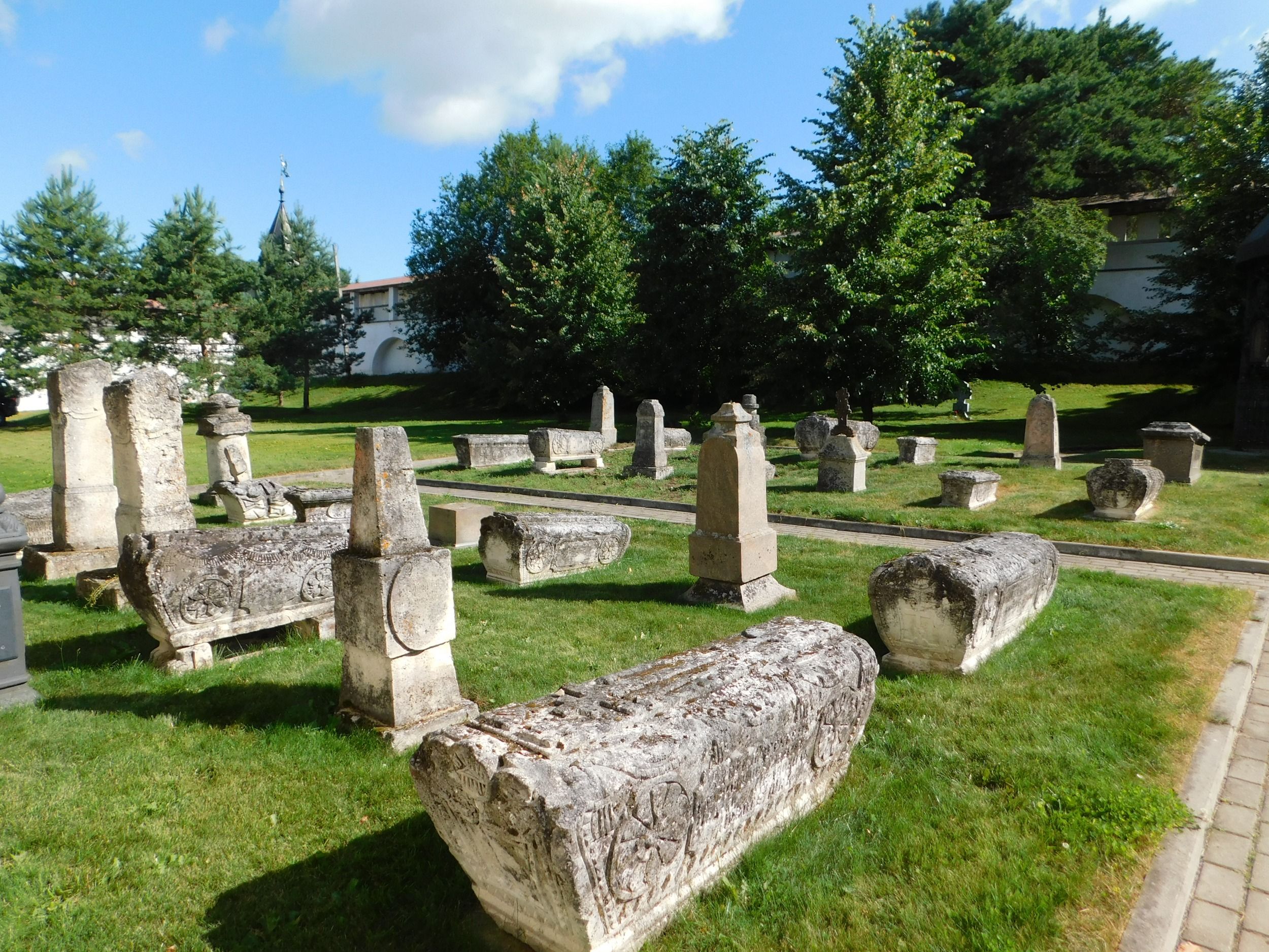 DSCN5504.JPG