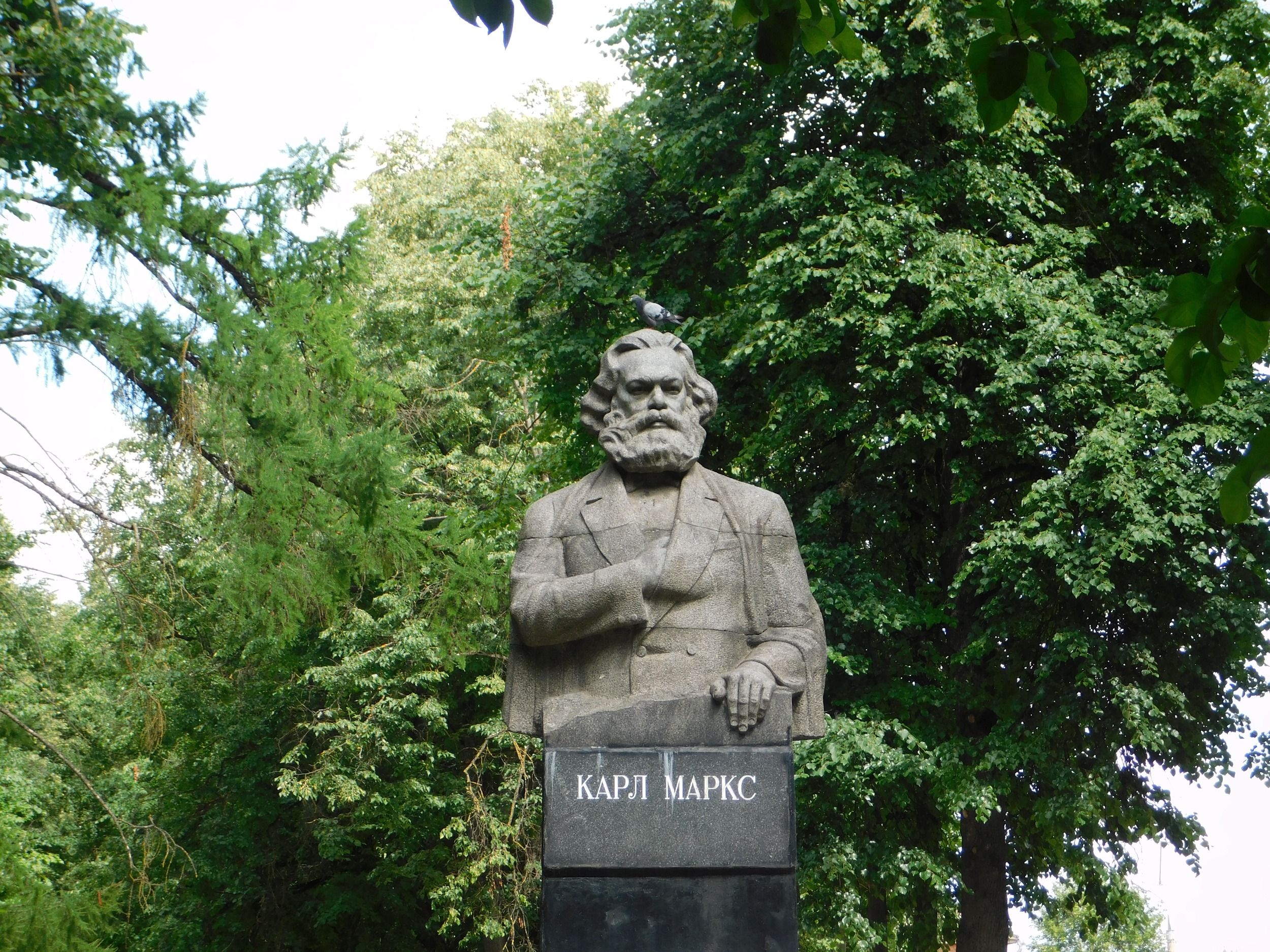 DSCN5594.JPG
