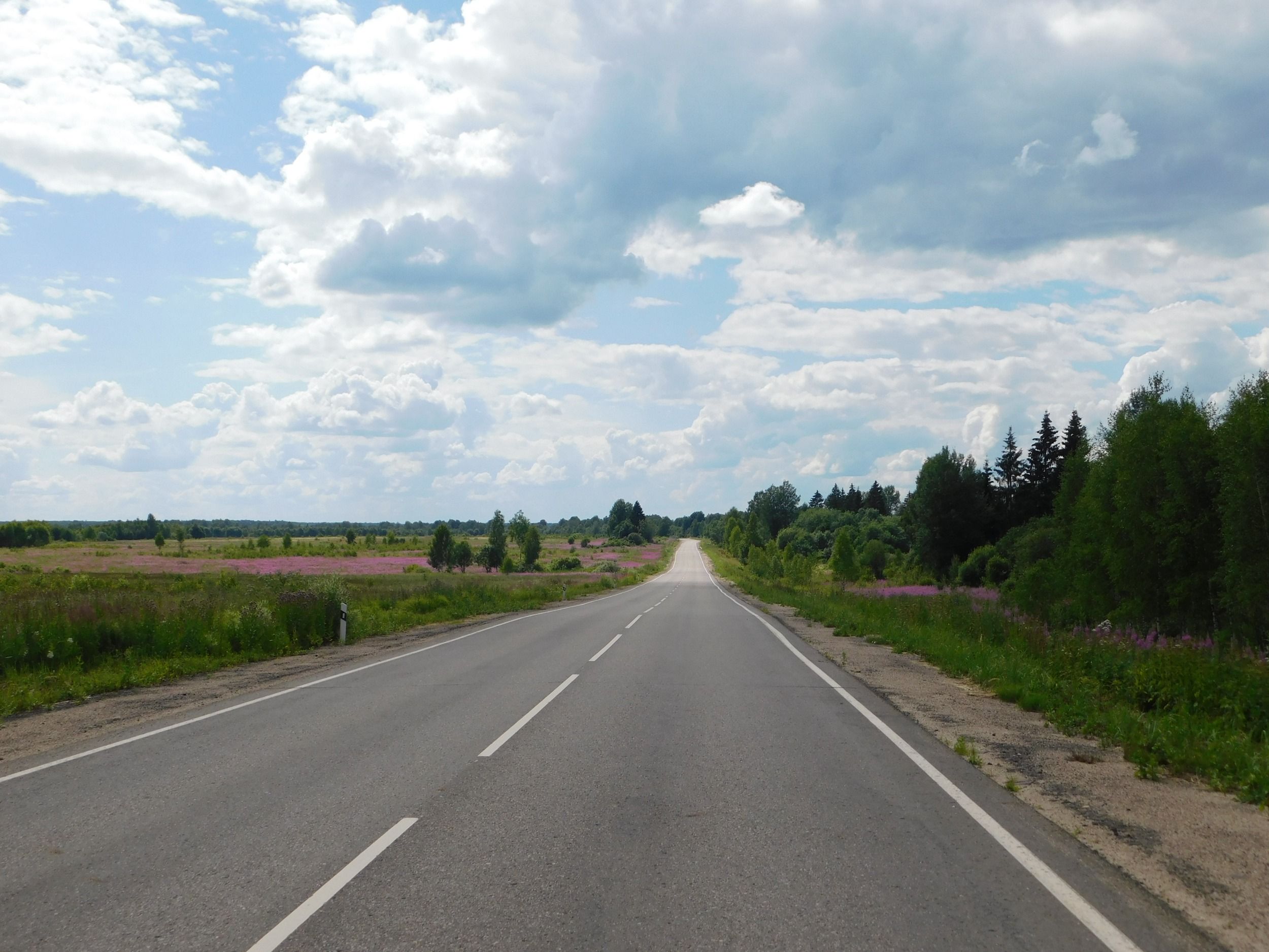DSCN5609.JPG