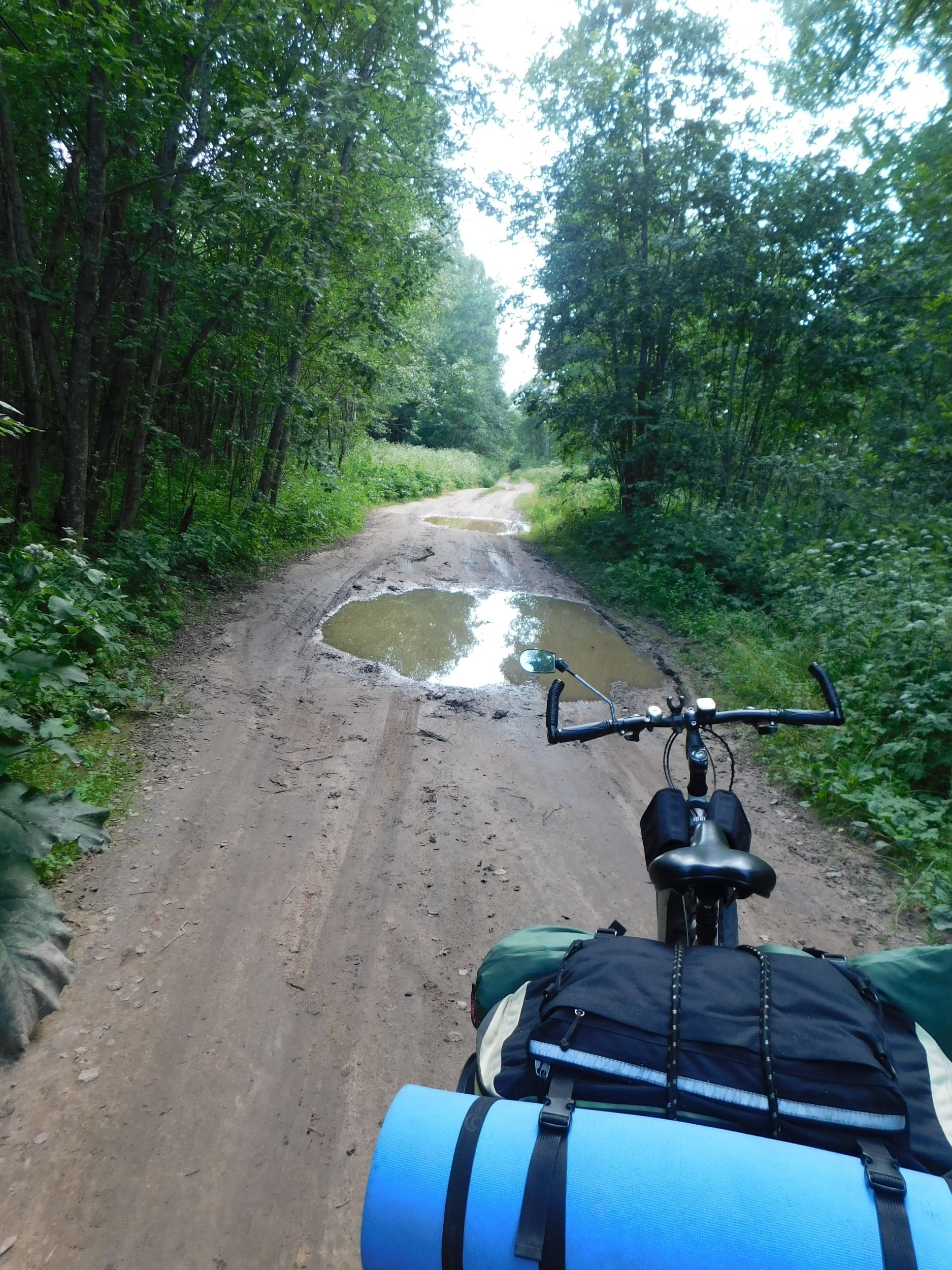 DSCN5627.jpg