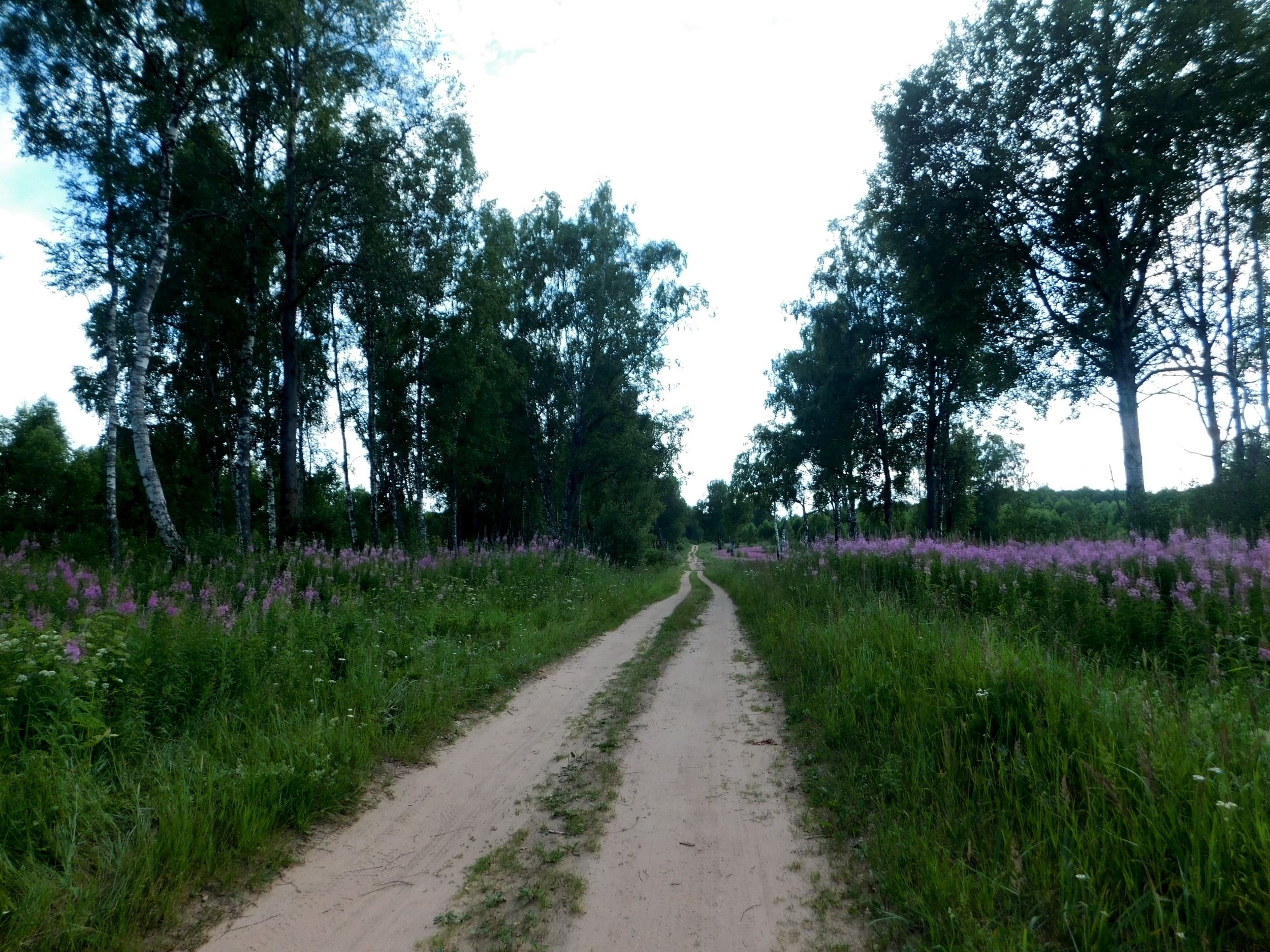 DSCN5629.jpg