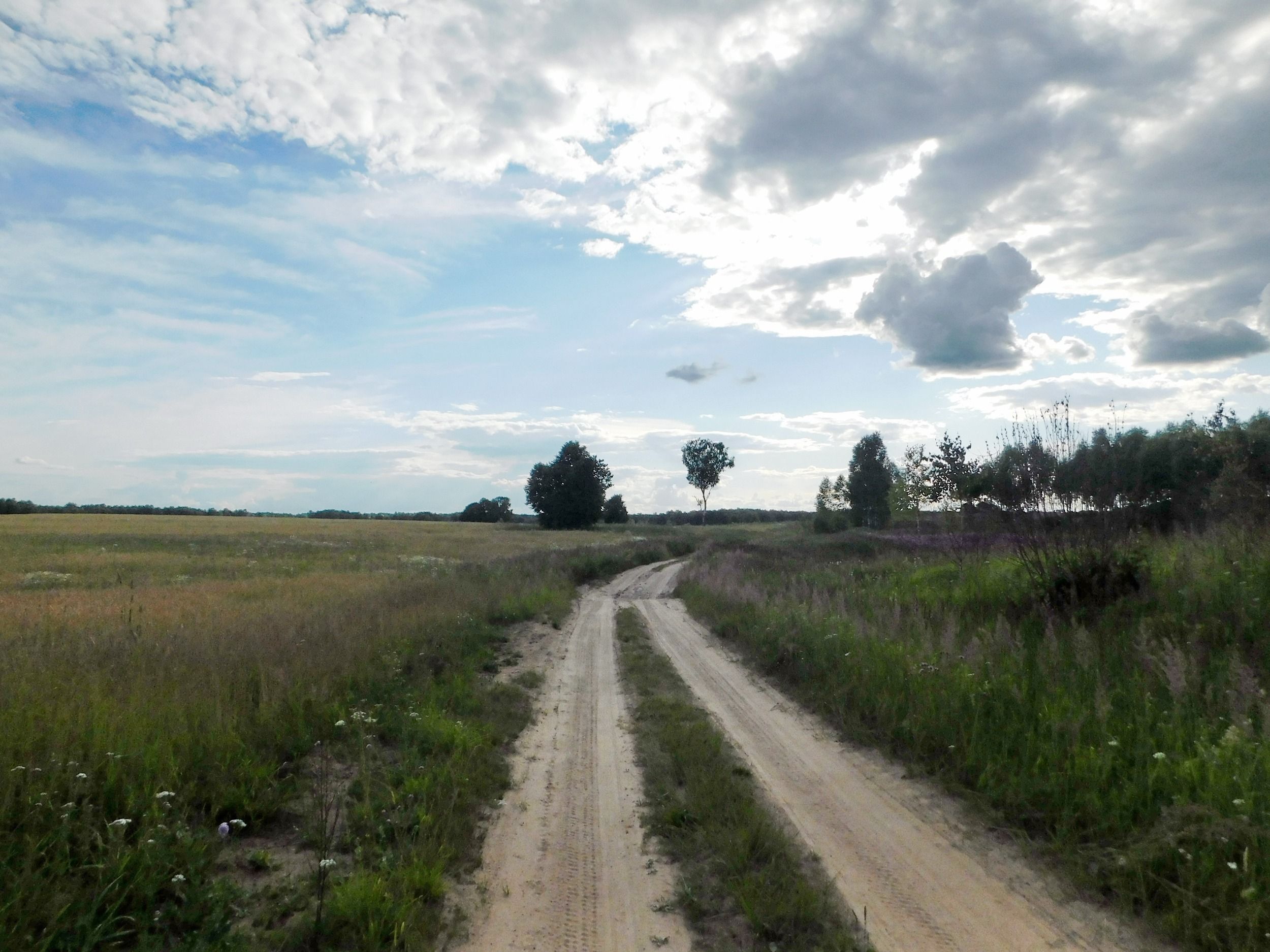 DSCN5632.jpg