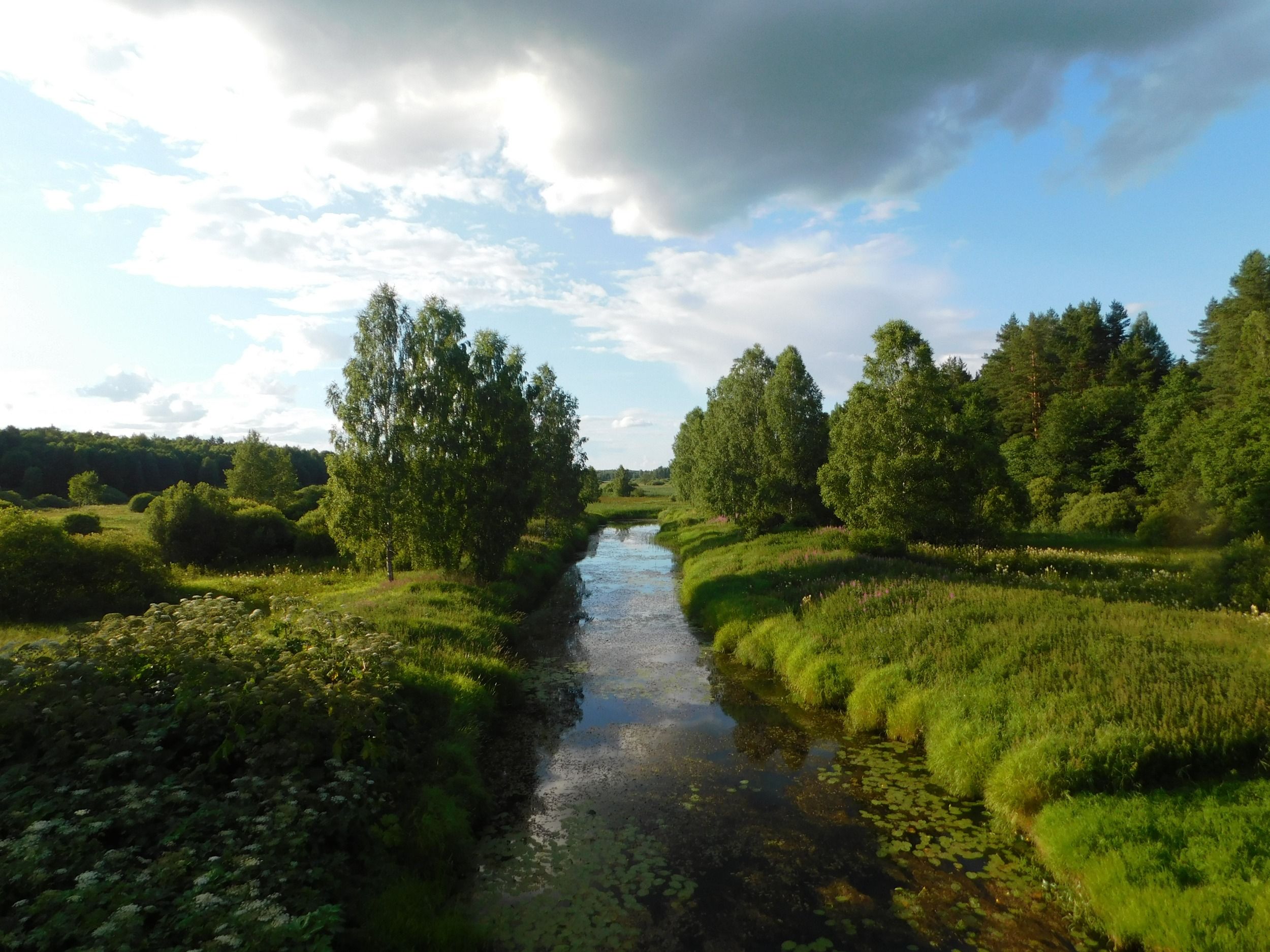 DSCN5636.JPG