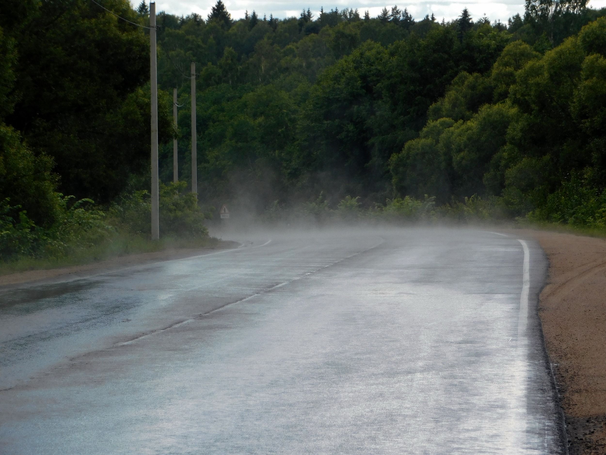 DSCN5670.jpg