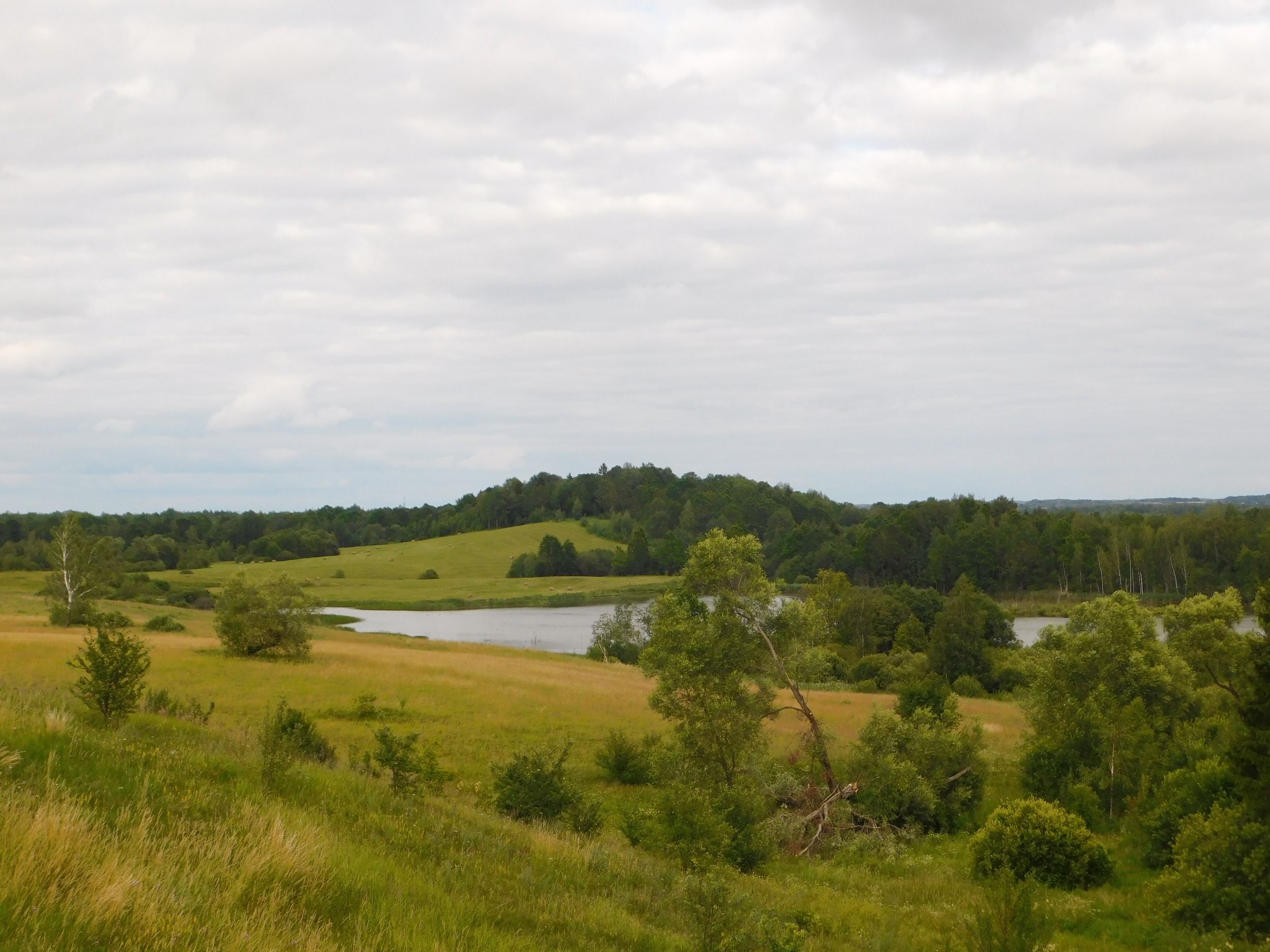 DSCN7011.jpg