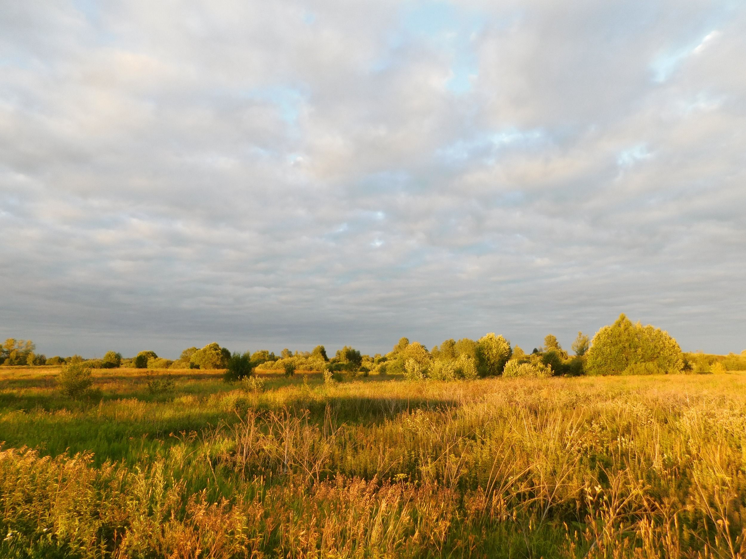 DSCN7018.JPG