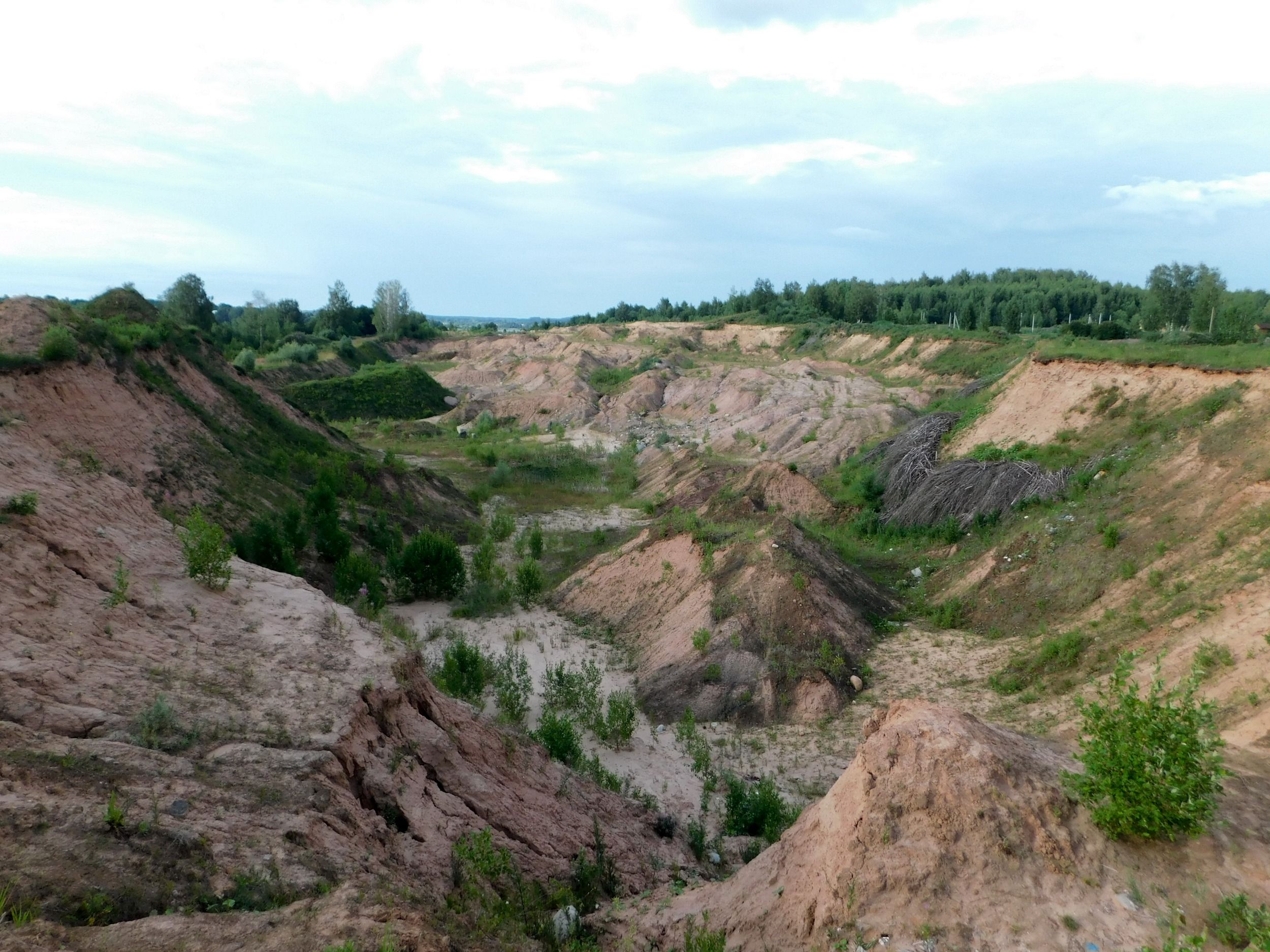 DSCN7220.jpg