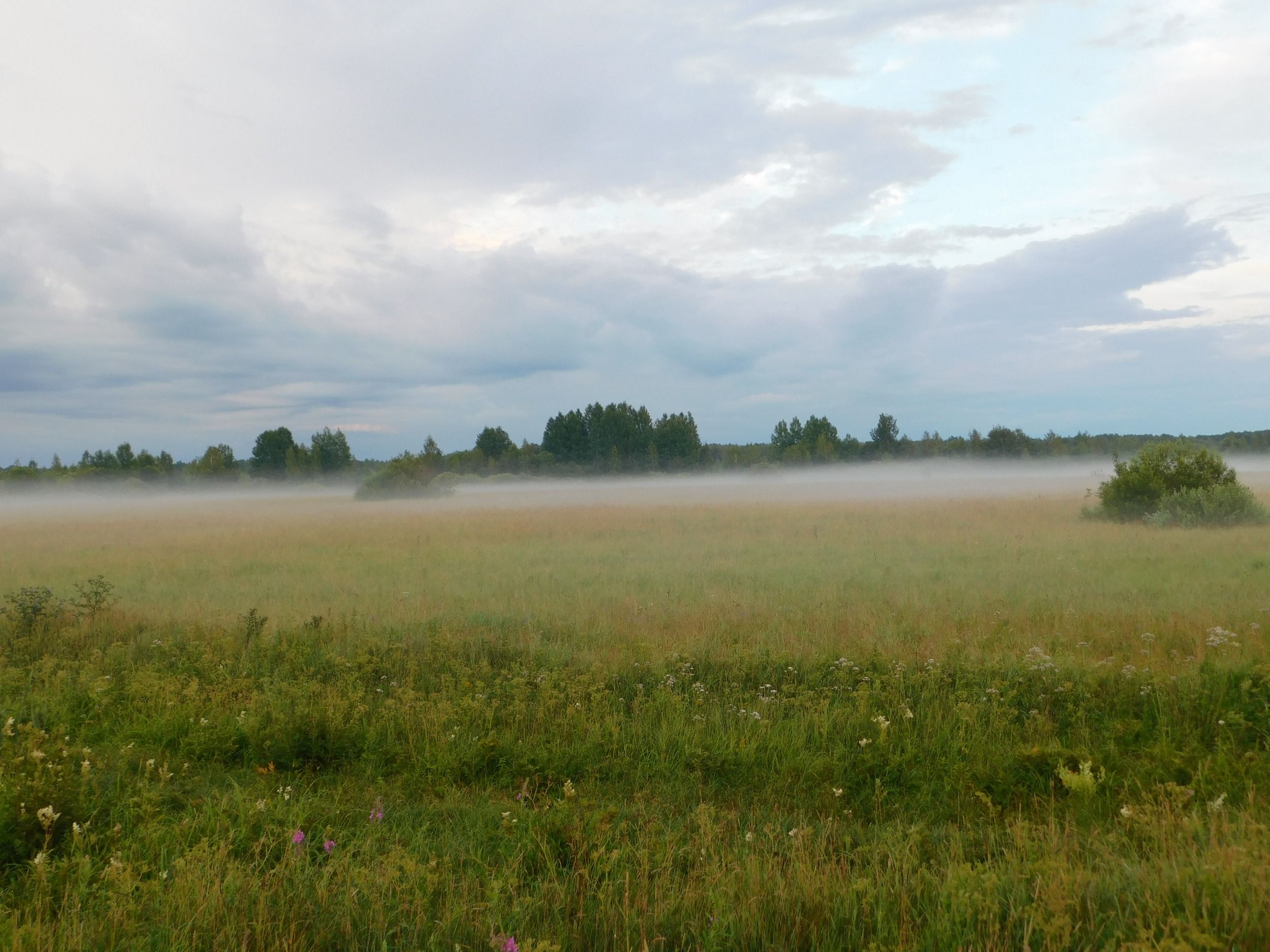 DSCN7241.JPG