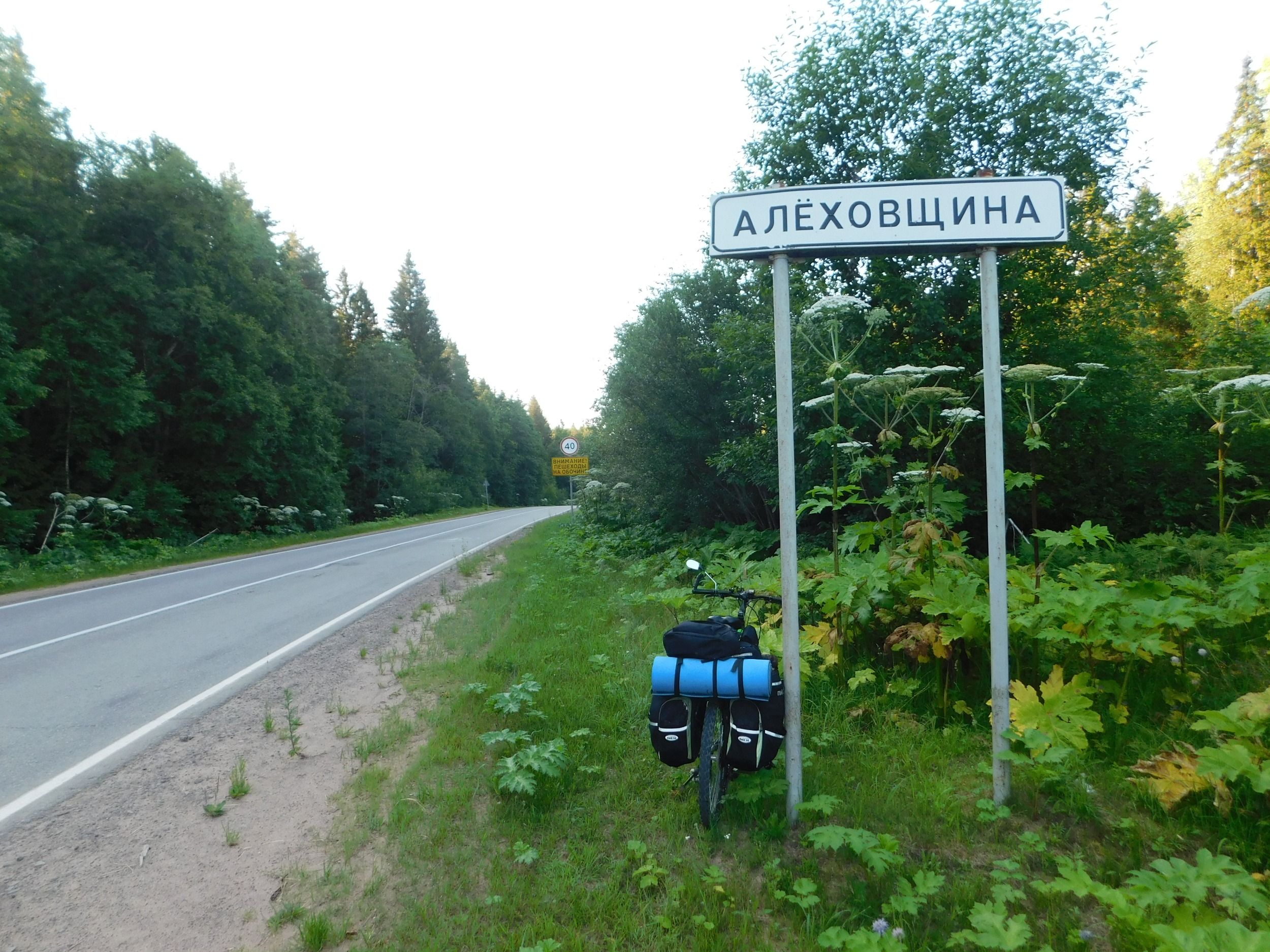 DSCN7272.JPG