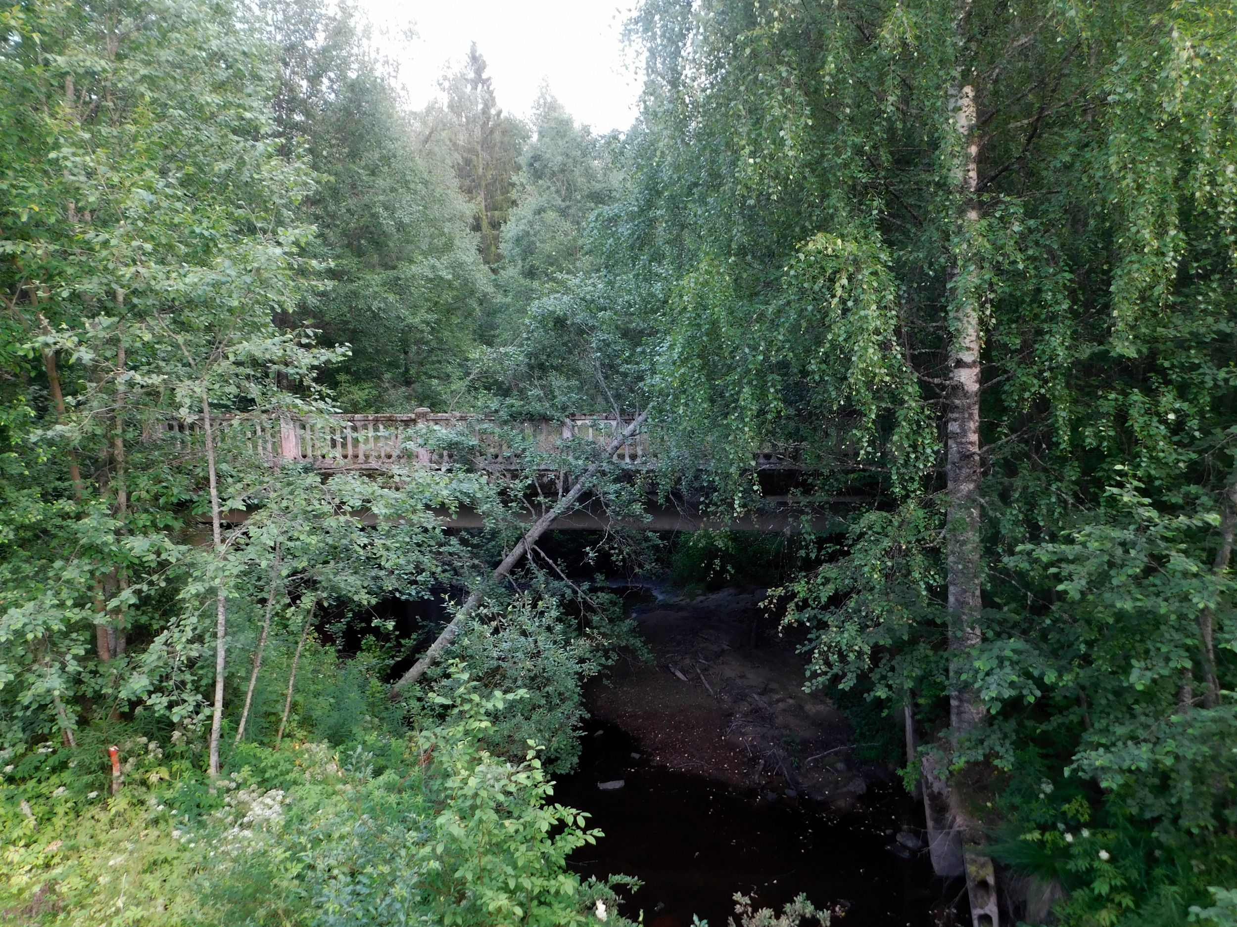 DSCN7326.jpg