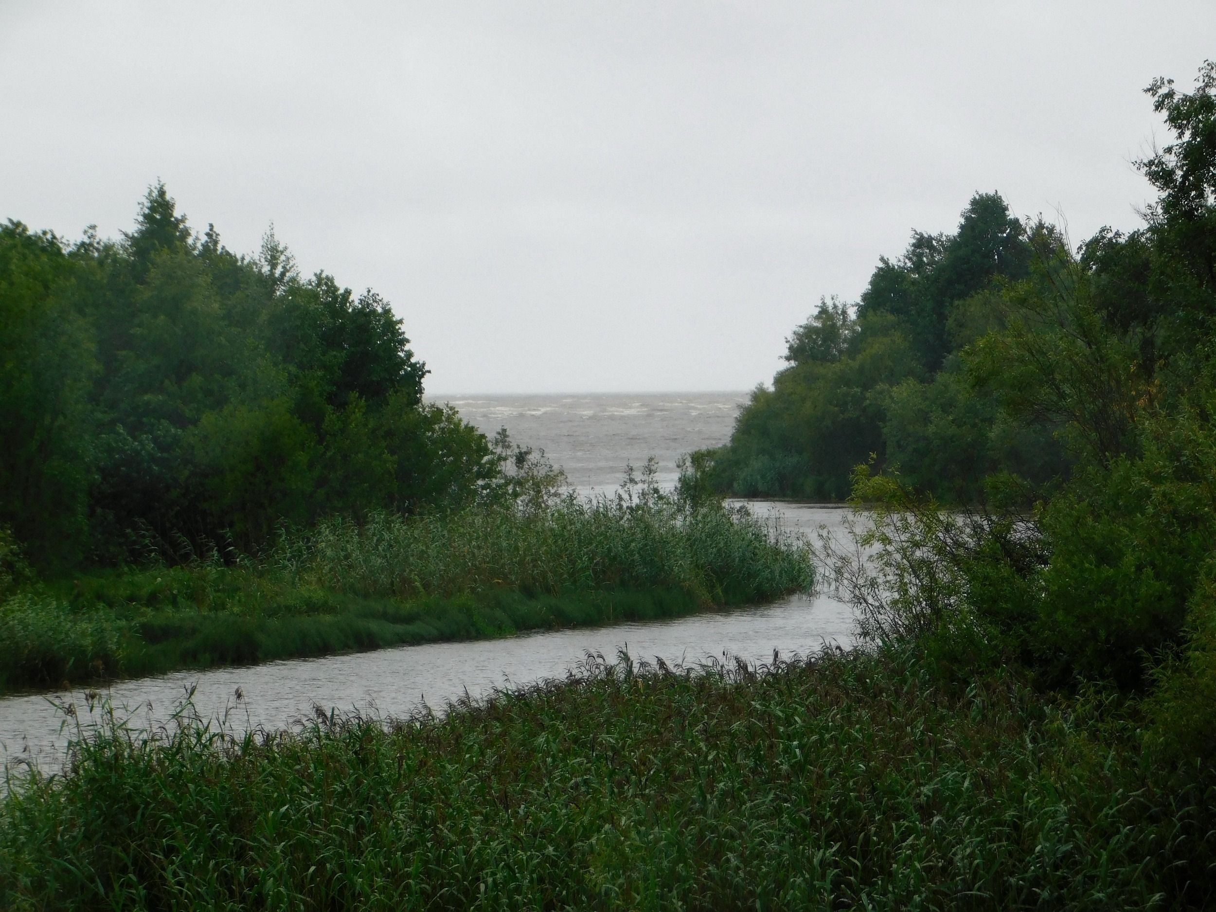 DSCN7422.jpg