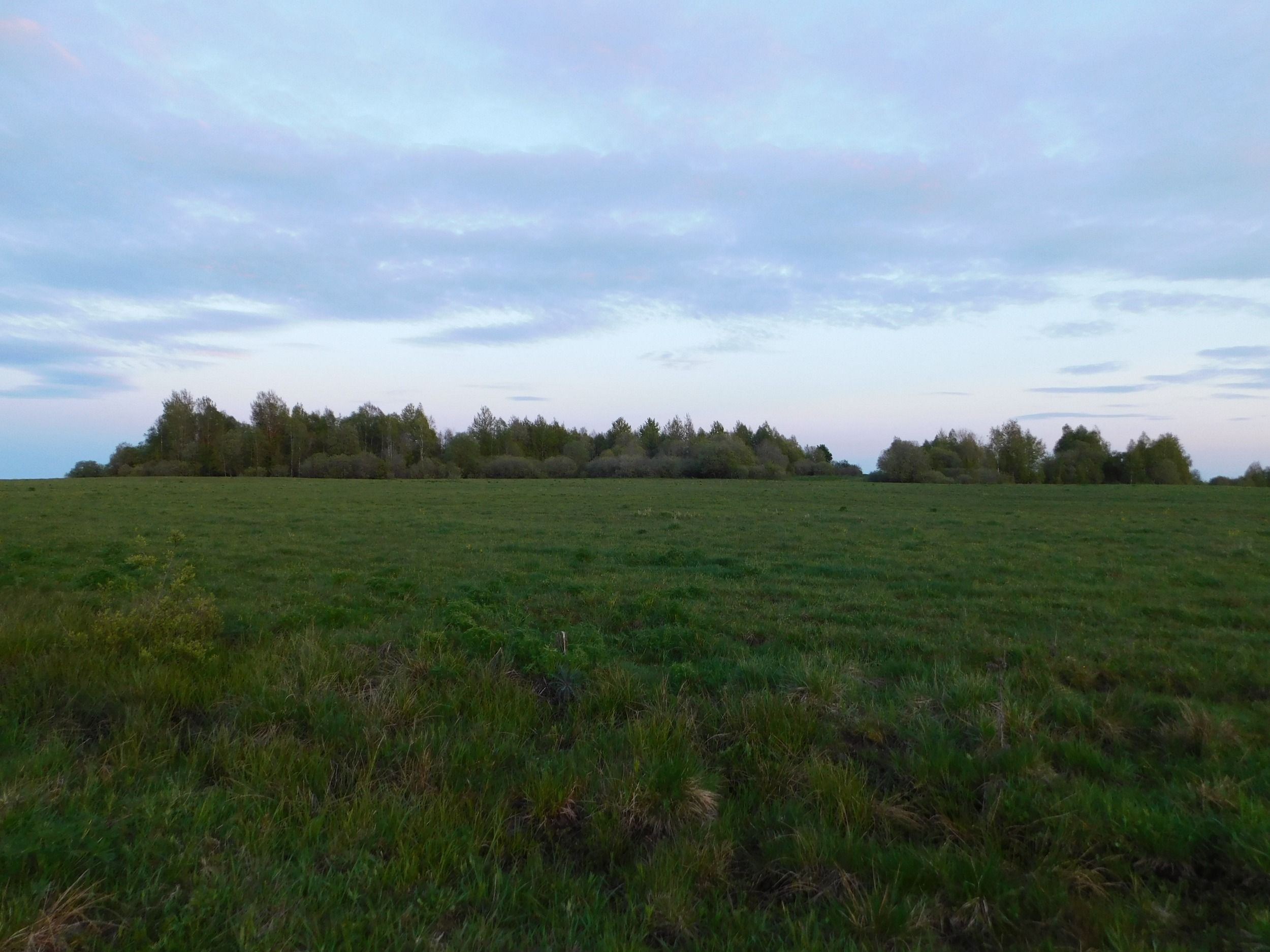 DSCN8144.JPG