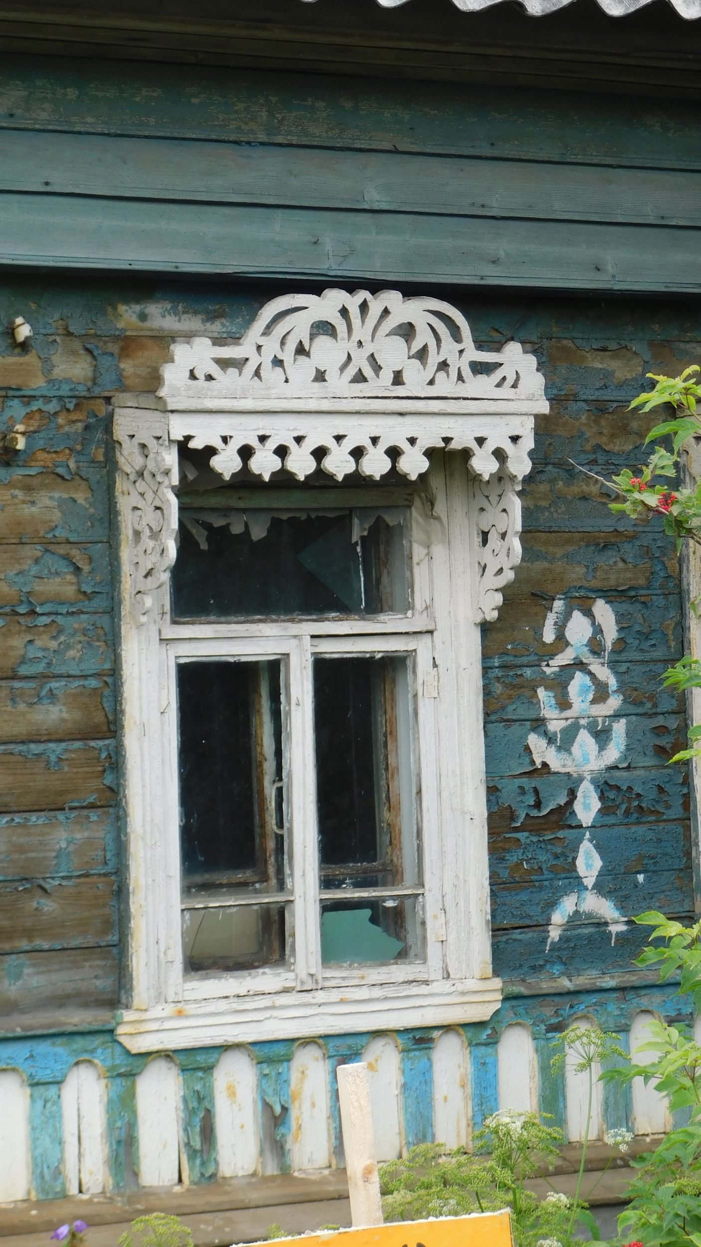 DSCN7571.jpg
