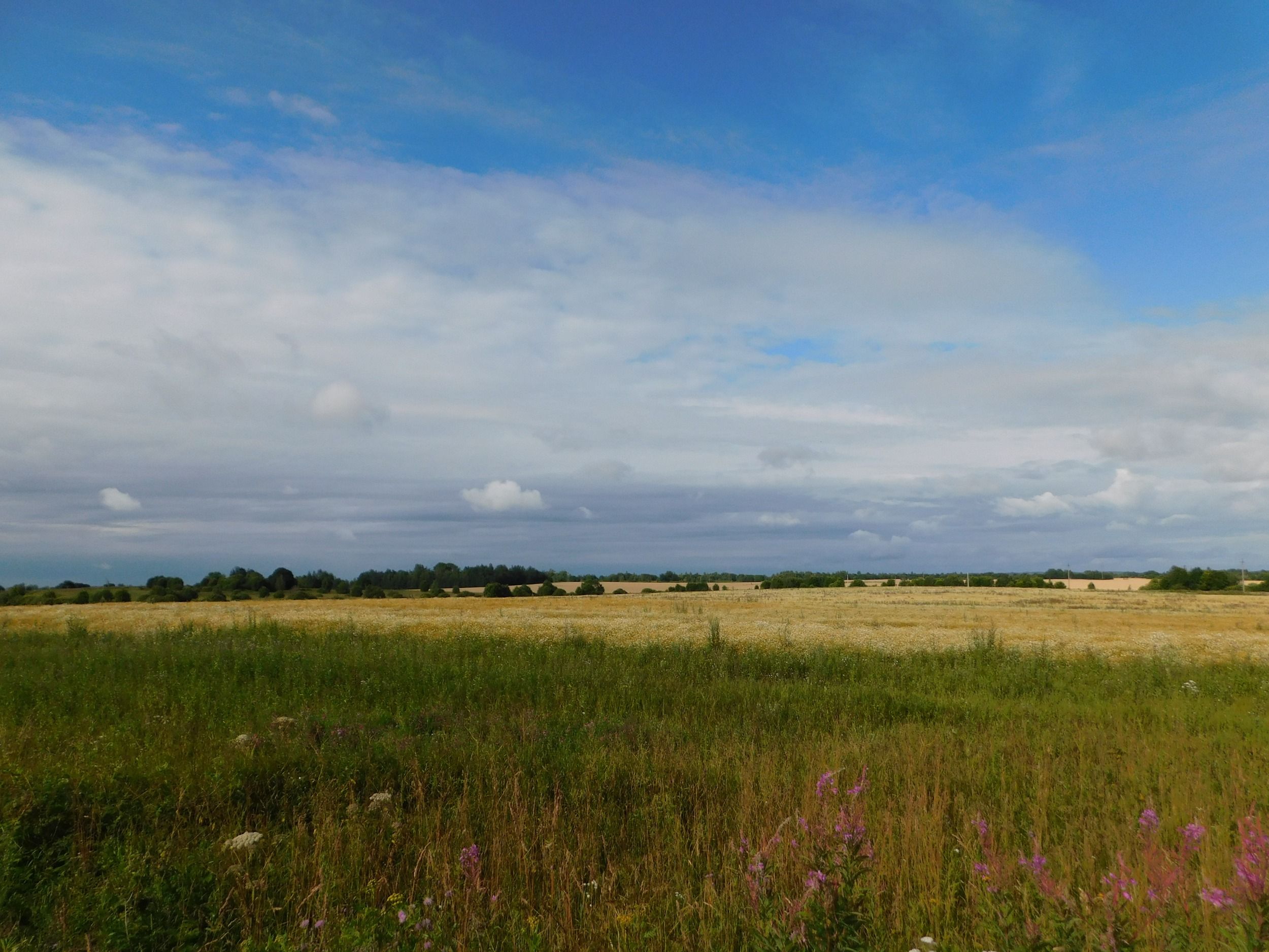 DSCN7619.JPG