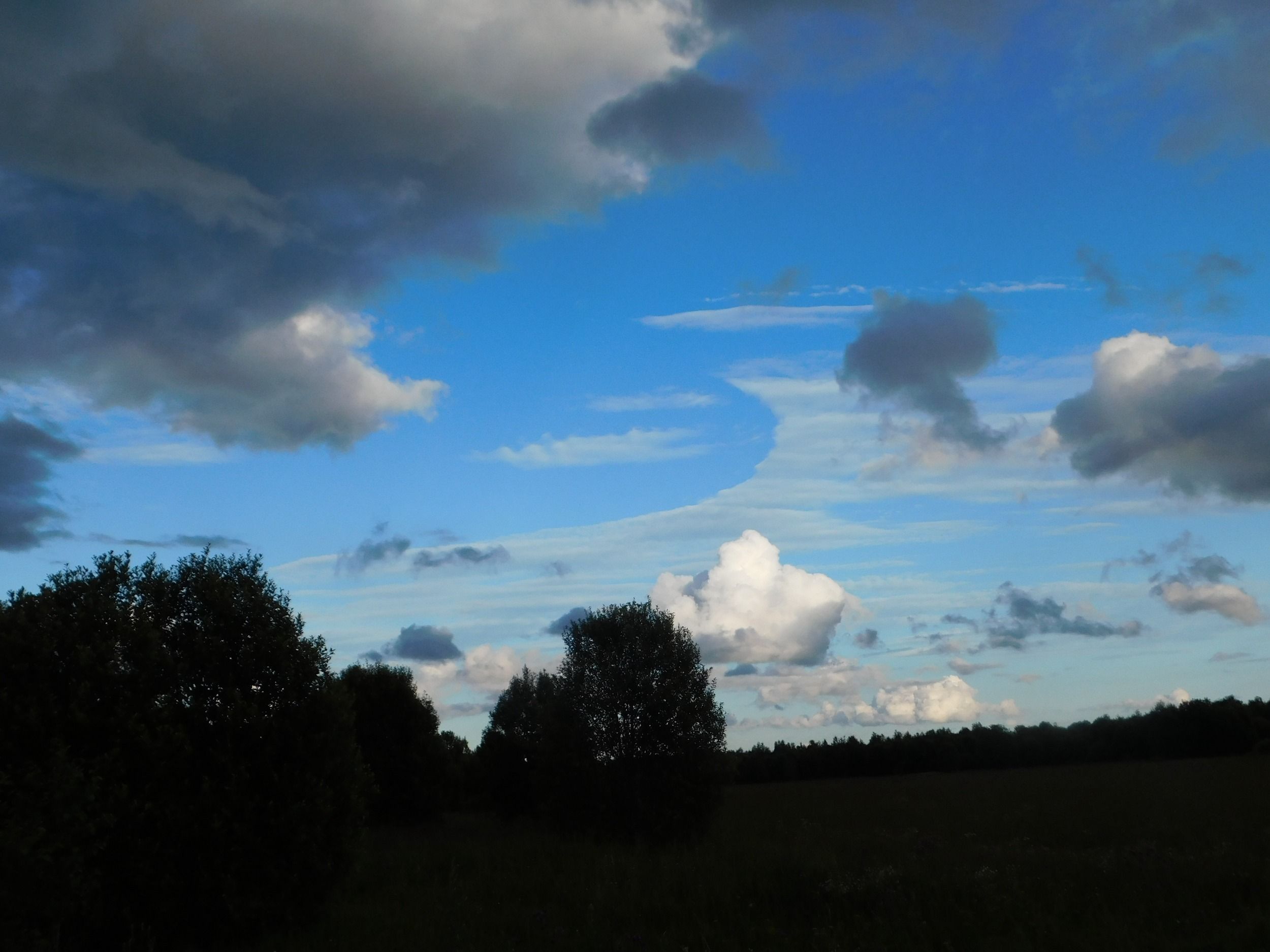 DSCN7687.jpg